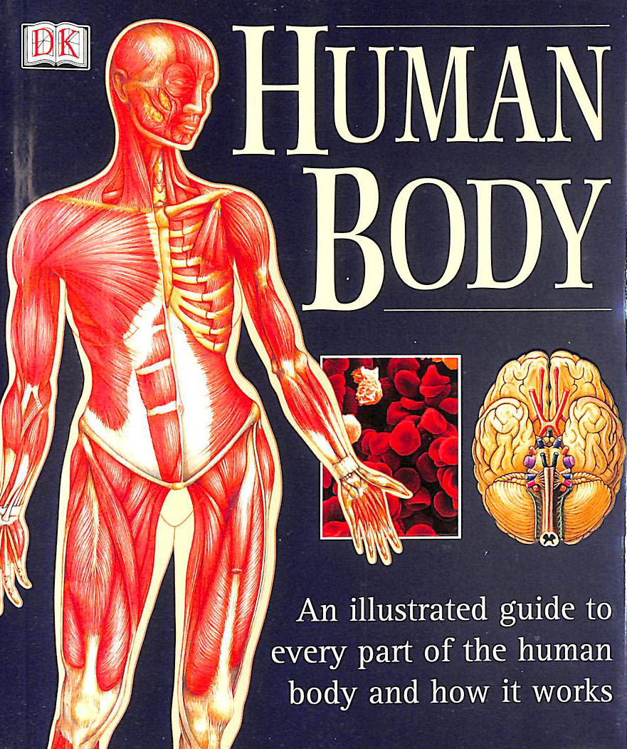 Human Body: An Illustrated Guide To Every Part Of The Human Body And ...