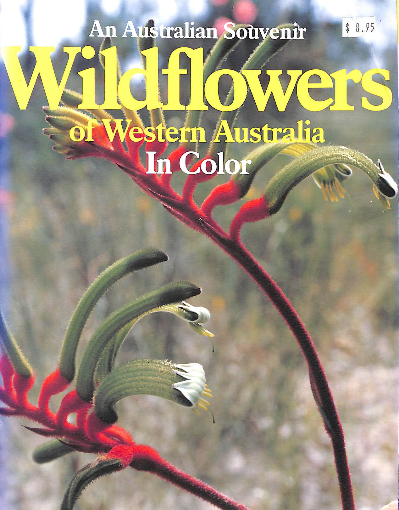 Australian Souvenir: Wildflowers of Western Australia