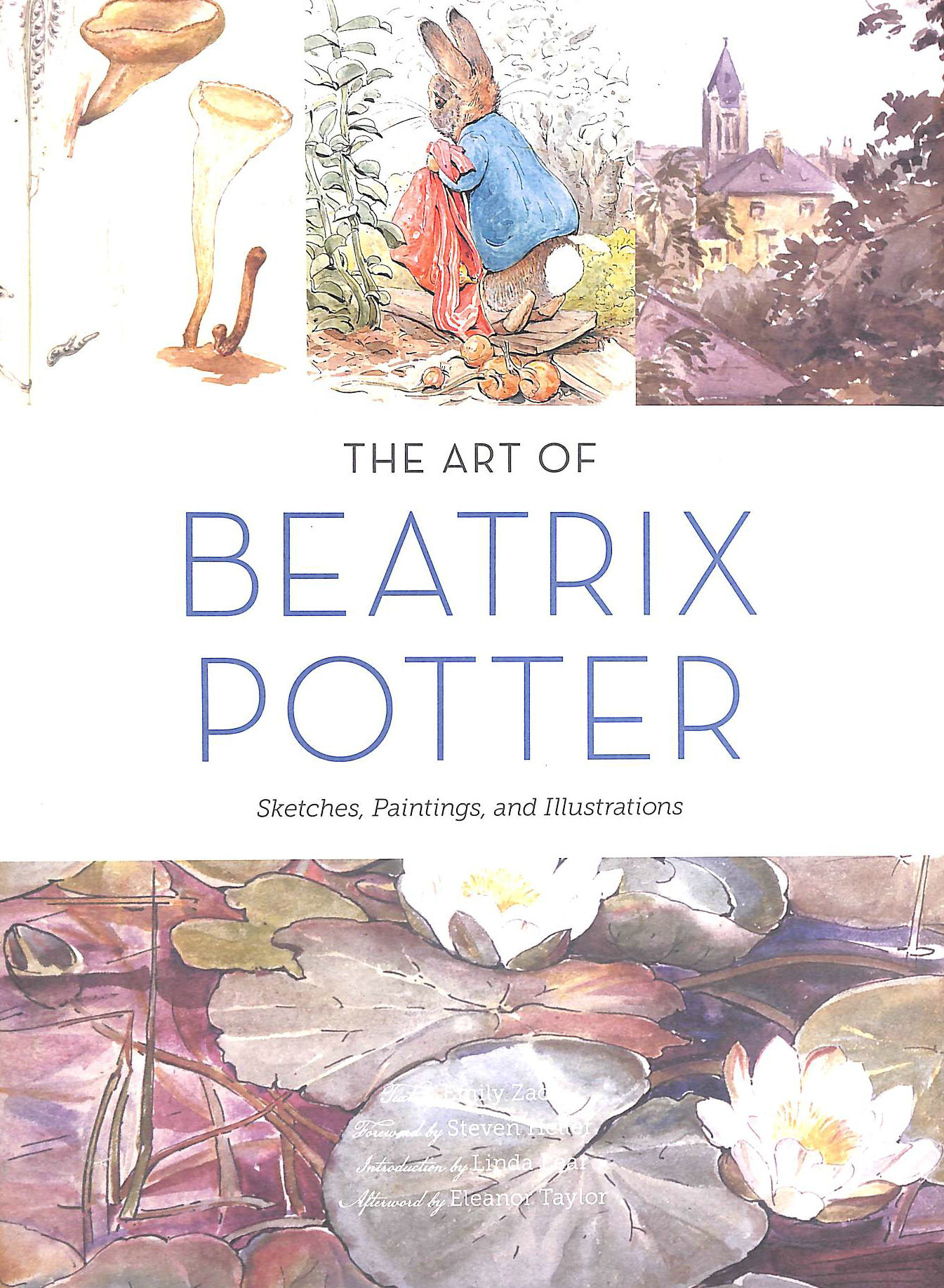 The Art Of Beatrix Potter Sketches Paintings And Illustrations   262815 