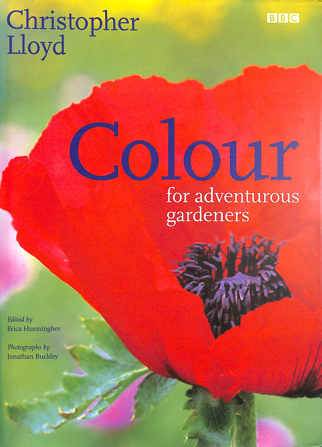 Colour for adventurous gardeners