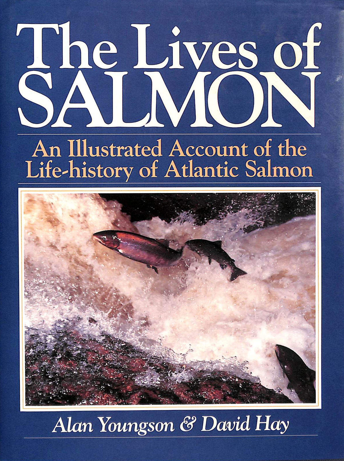 The Lives of Salmon