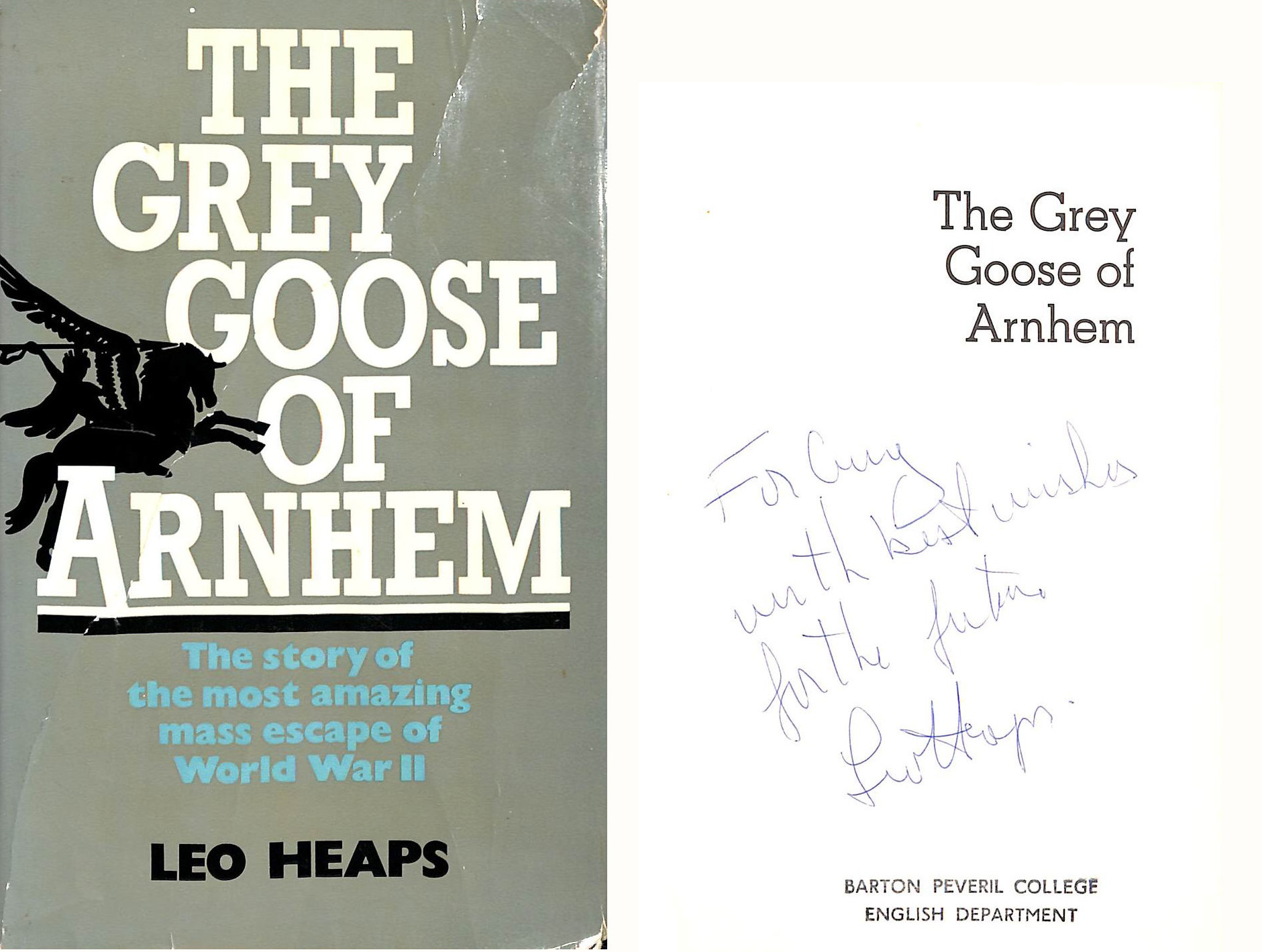 Grey Goose of Arnhem