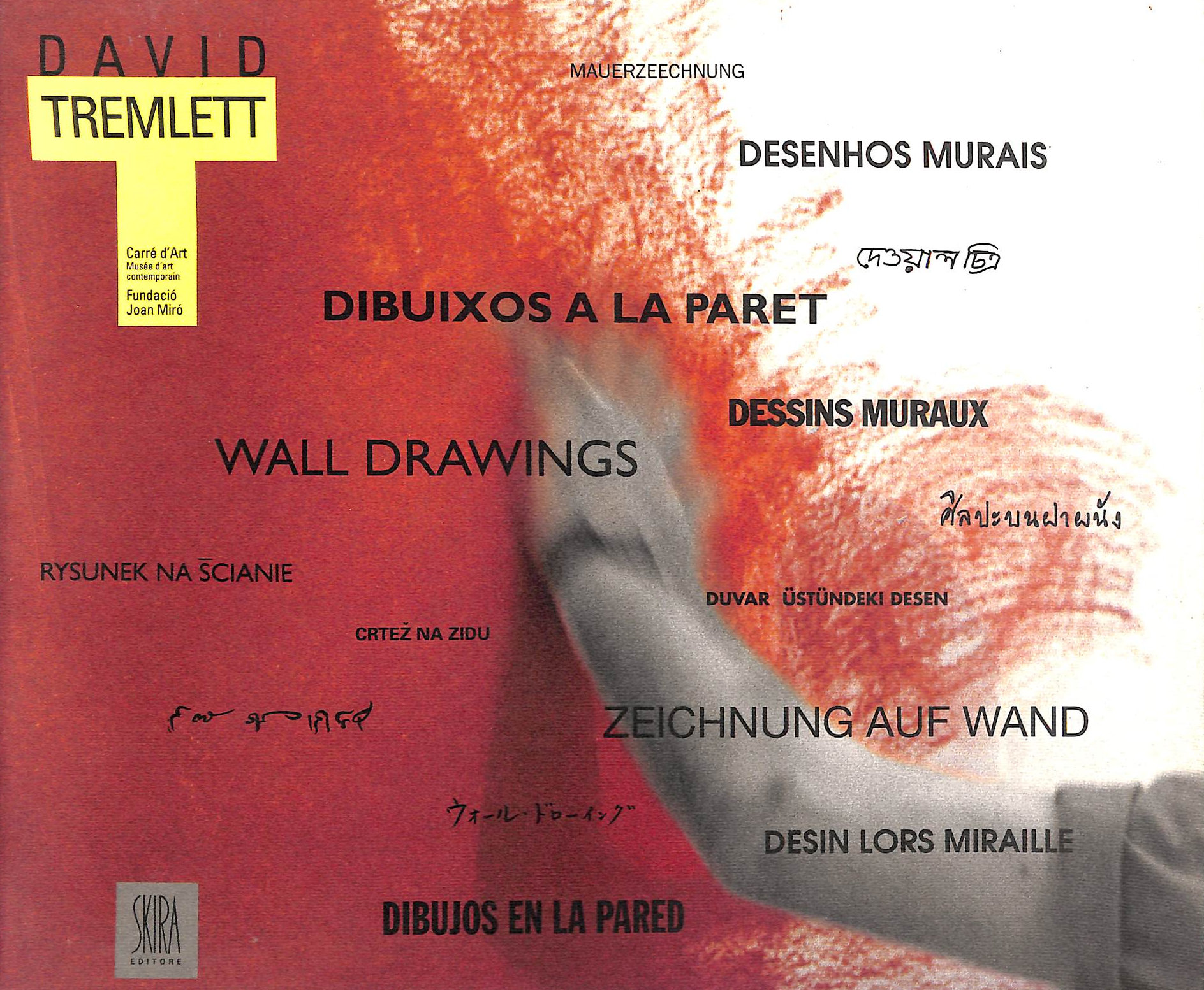 David Tremlett. Wall Drawings. Ediz