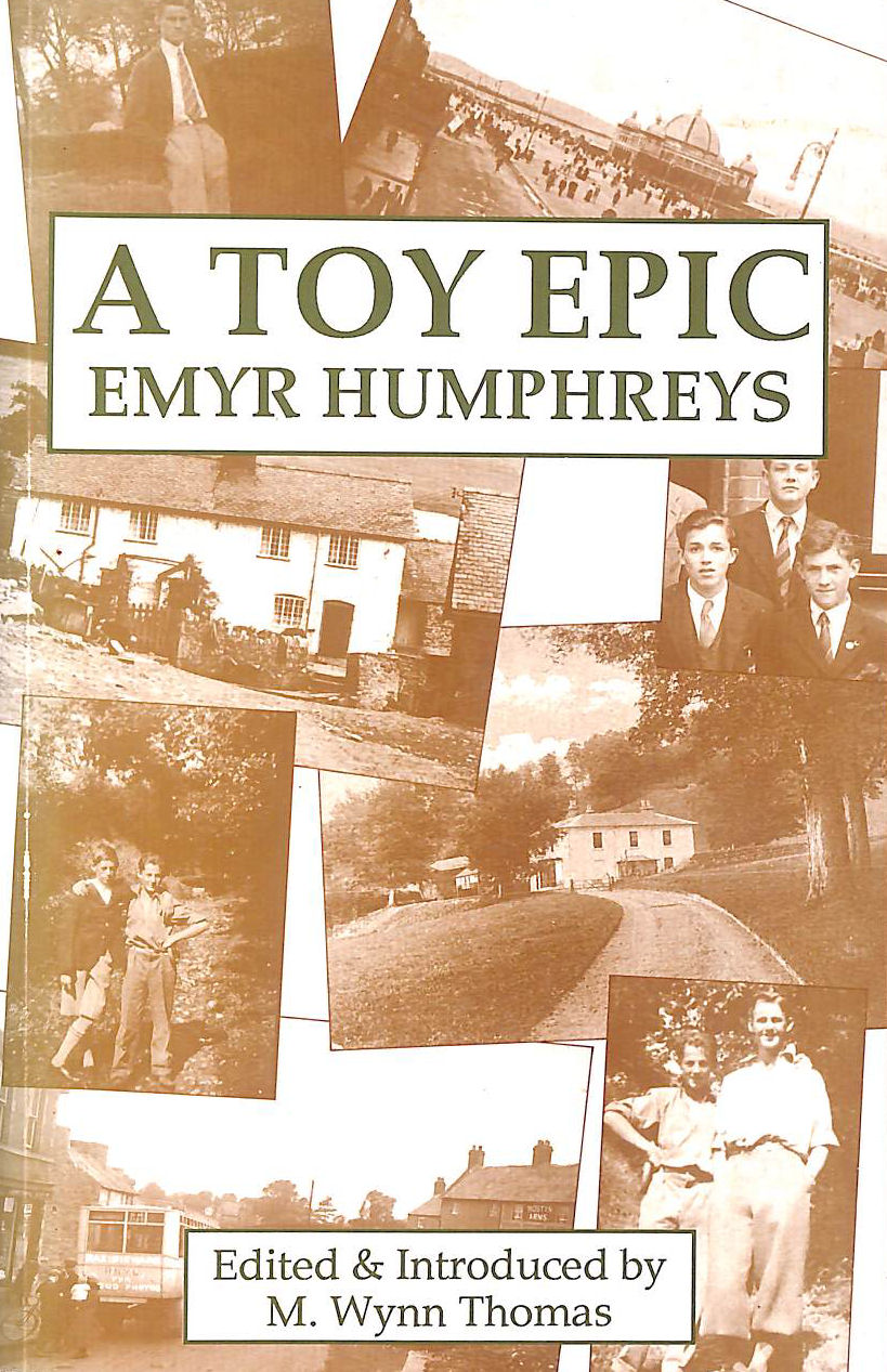 A Toy Epic