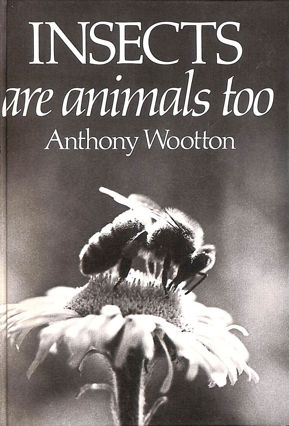 Insects are Animals Too