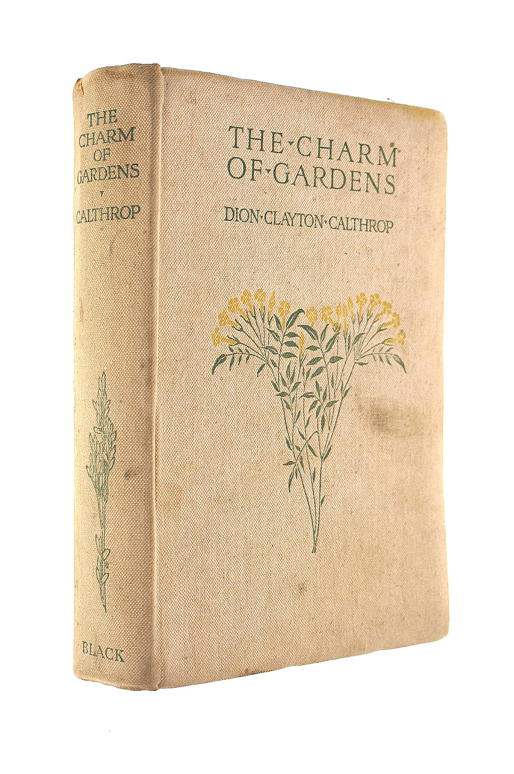 The Charm Of Gardens