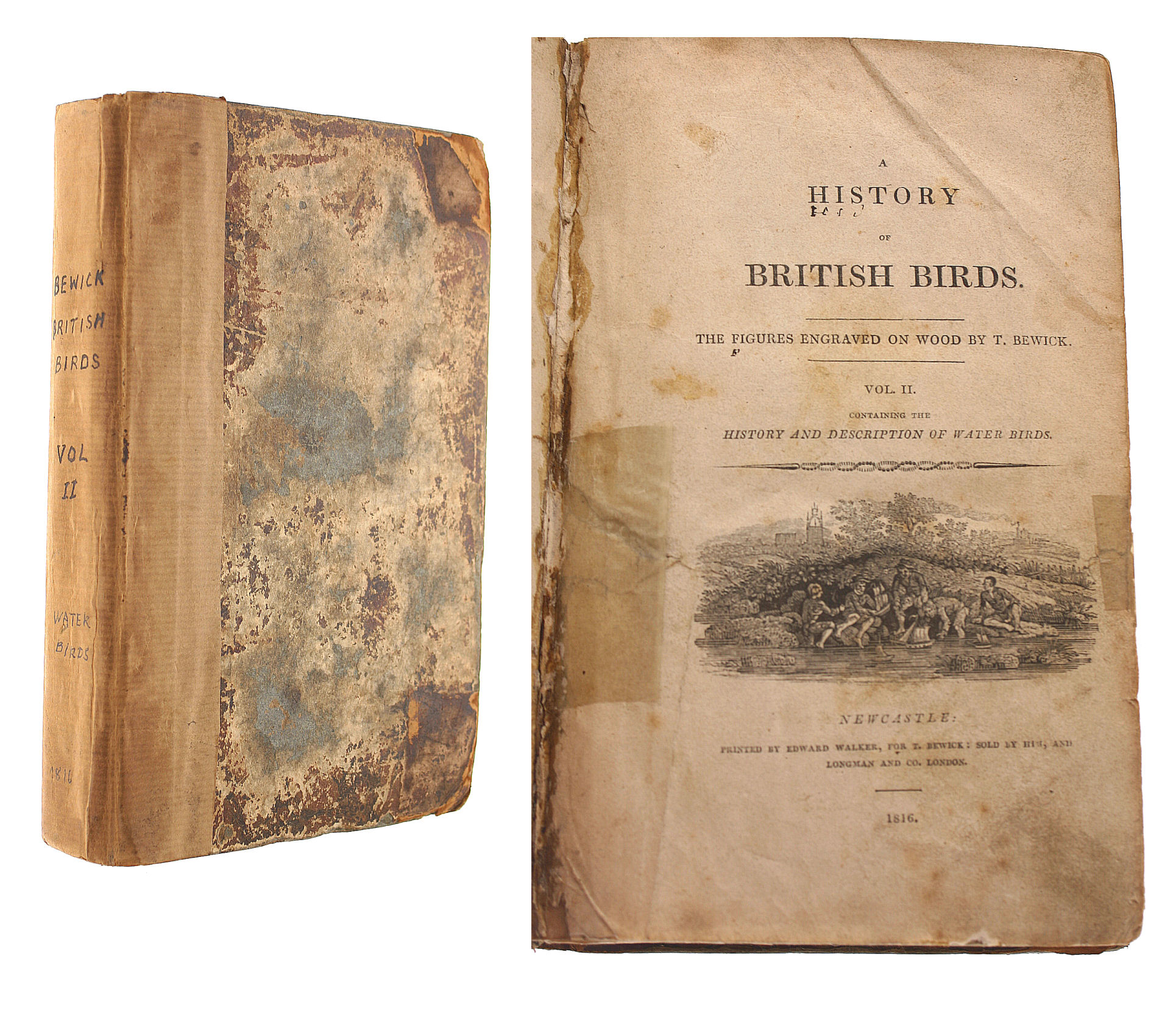 A History of British Birds. Volume II: History And Description of Water Birds