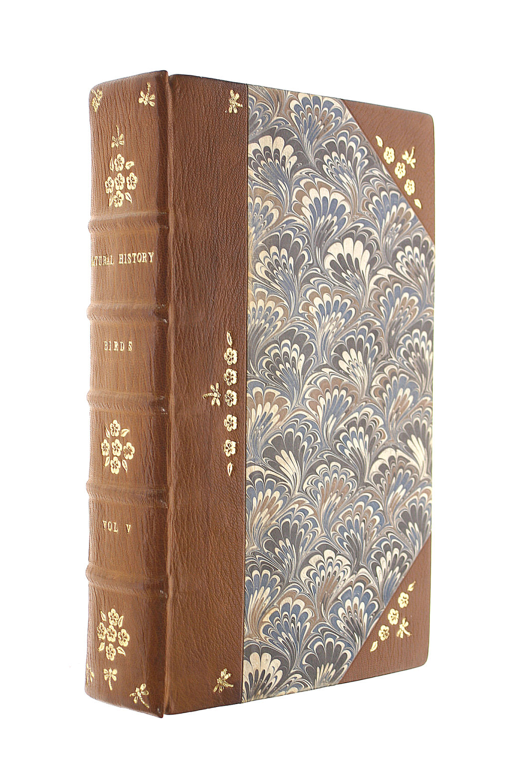 An Universal System of Natural History, including the Natural History of Man etc Volume The Fifth