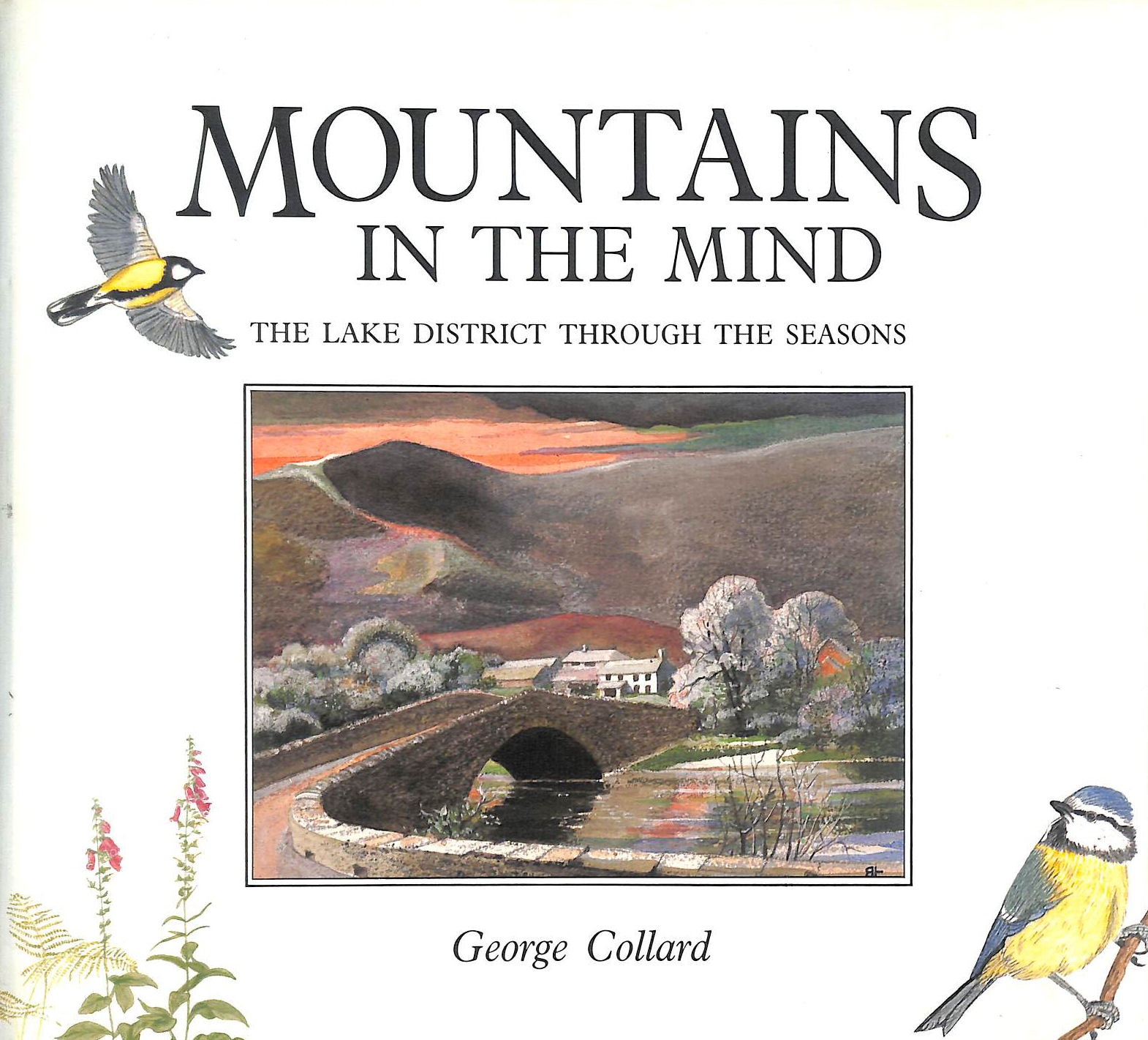 Mountains in the Mind: Lake District Through the Seasons