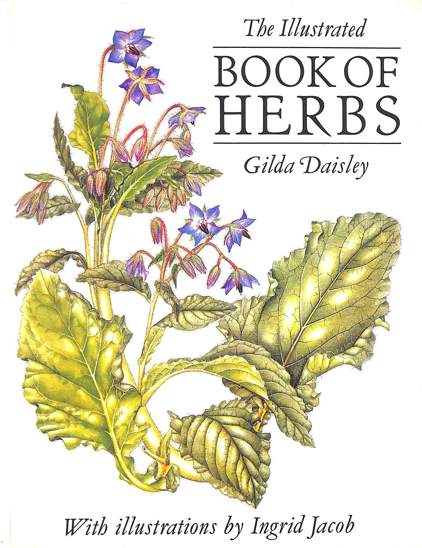 The Illustrated Book Of Herbs