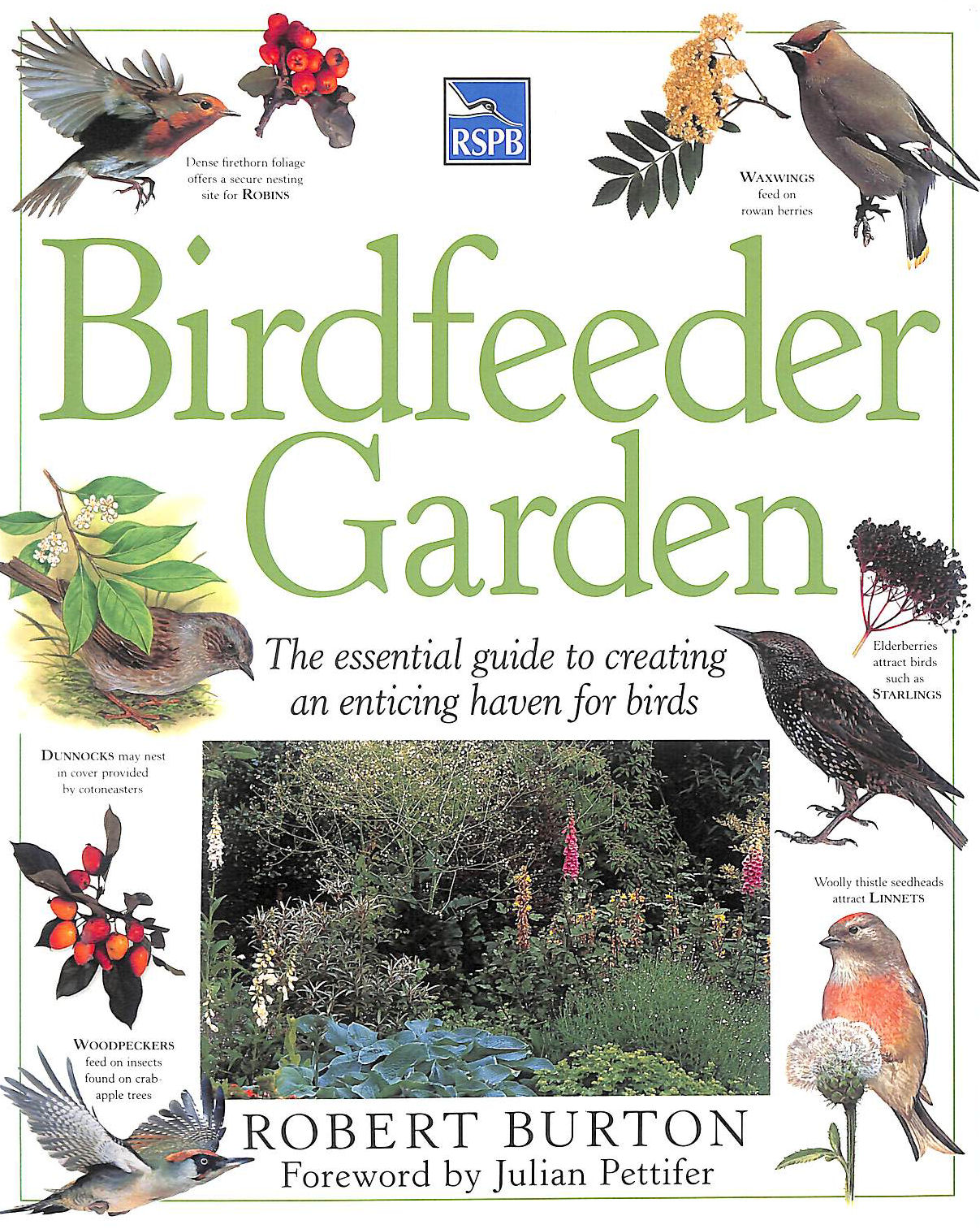 RSPB Birdfeeder Garden: The essential guide to creating an enticing haven for birds