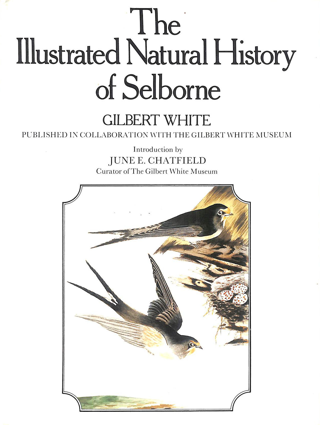 The Illustrated Natural History of Selborne
