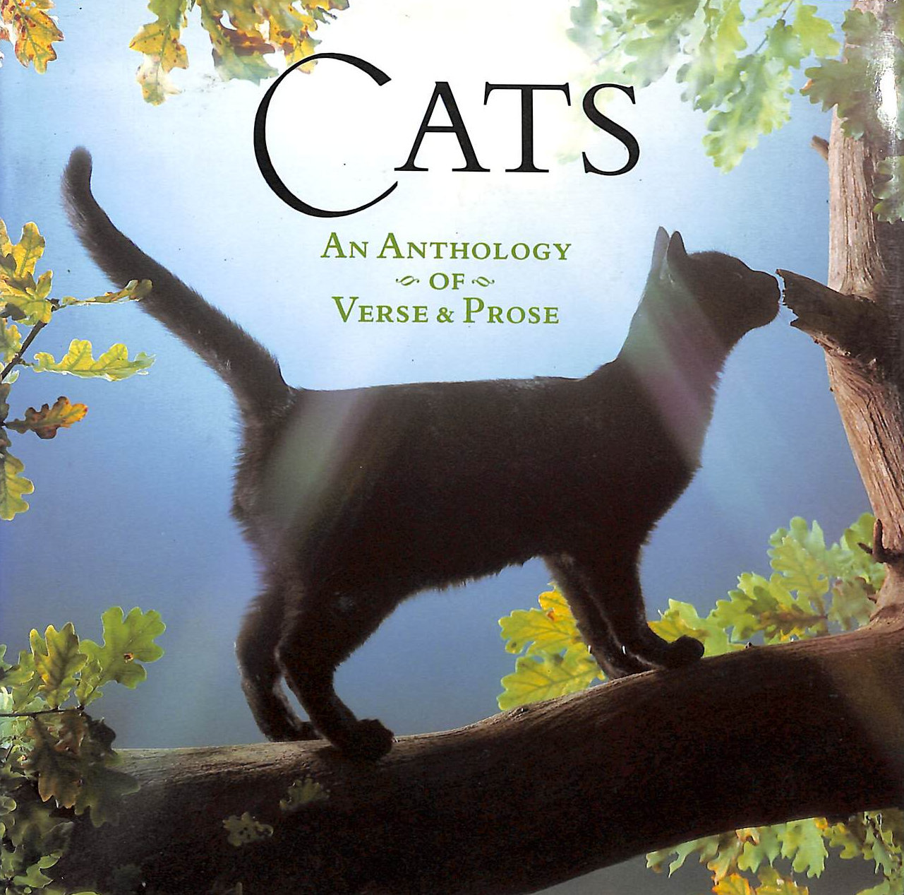 Cats: An Anthology of Verse and Prose (Gift Anthologies)