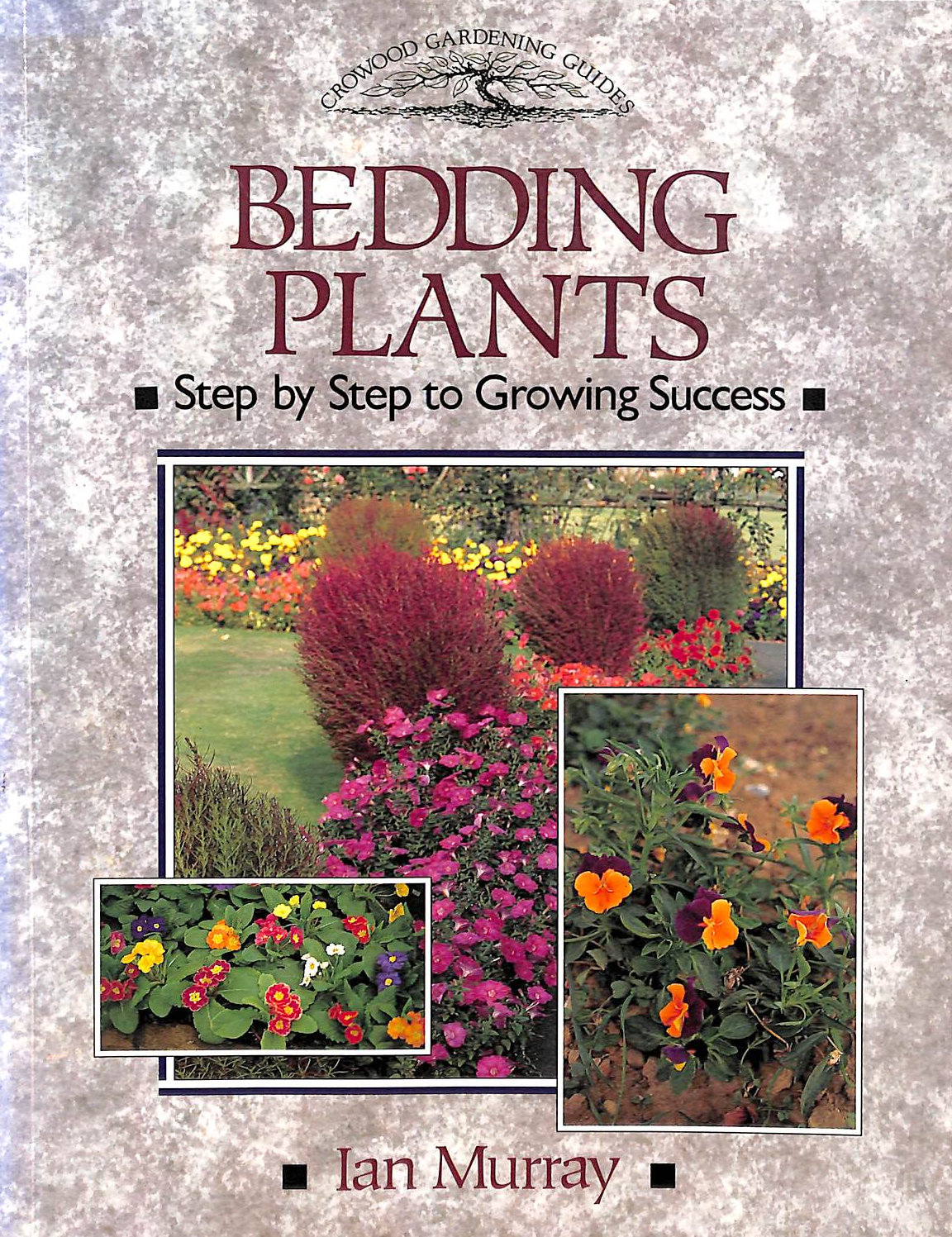 Bedding Plants: Step by Step to Growing Success