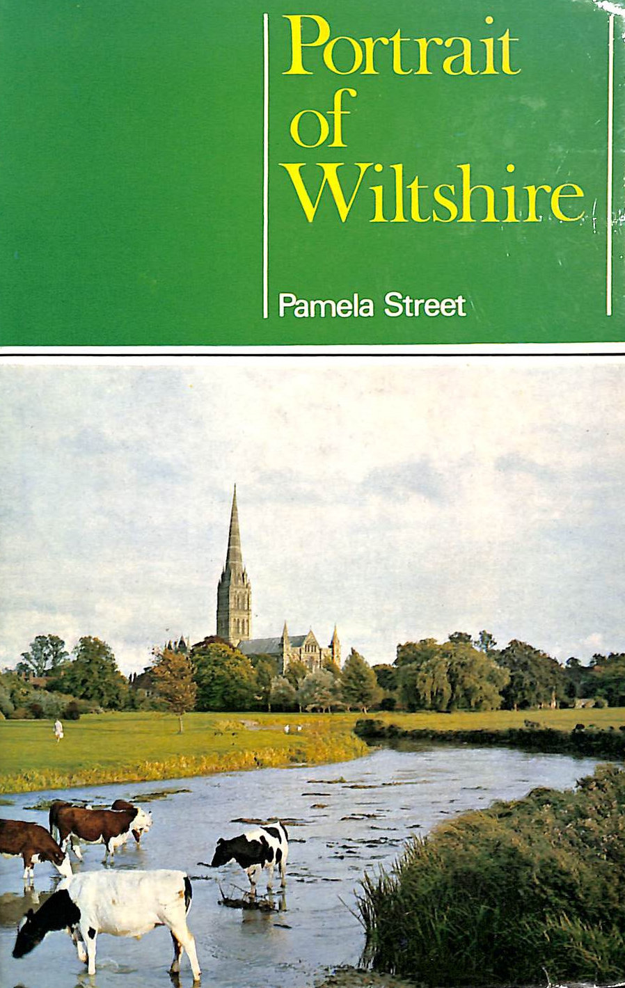 Portrait of Wiltshire