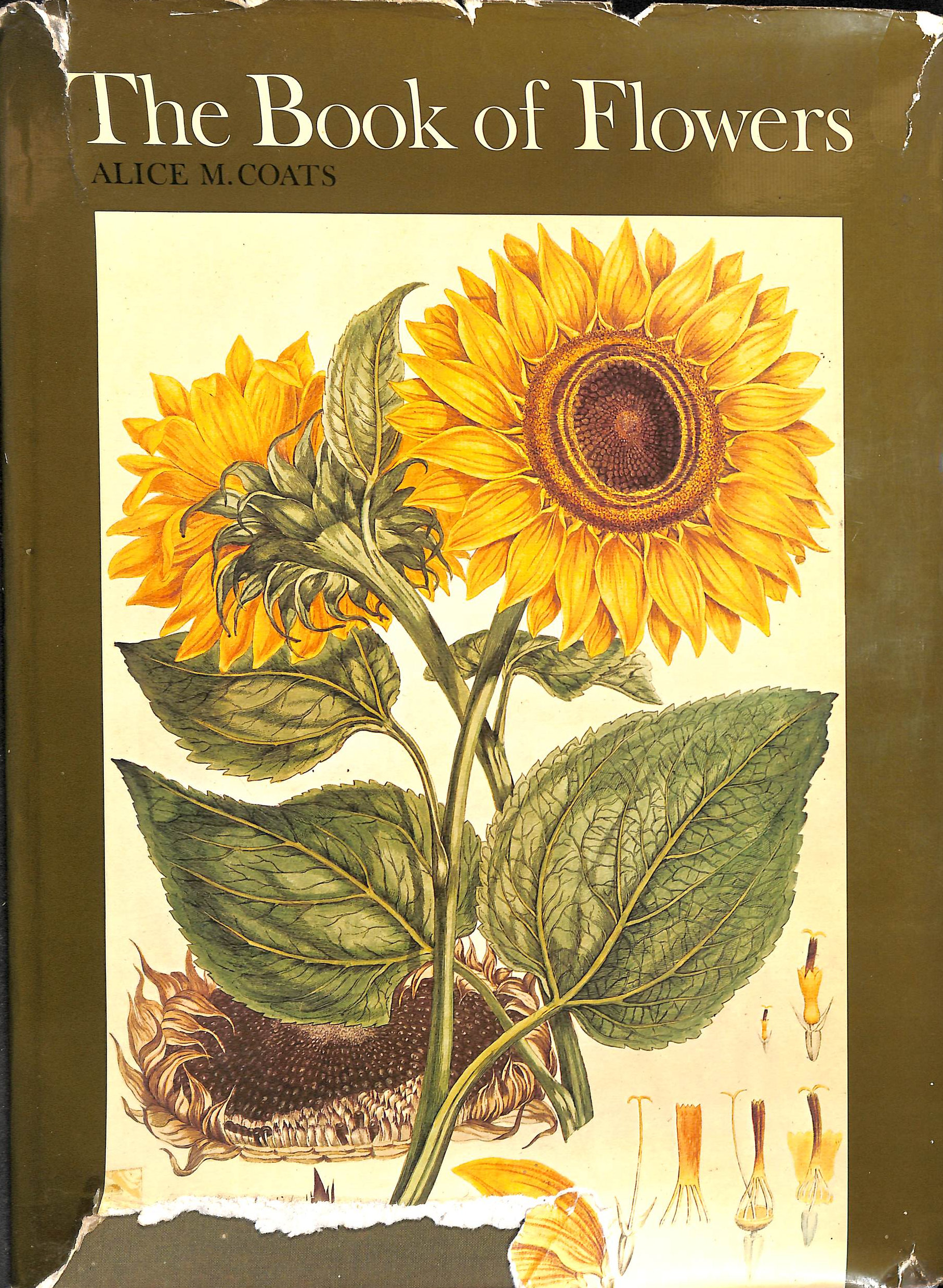 Book of Flowers