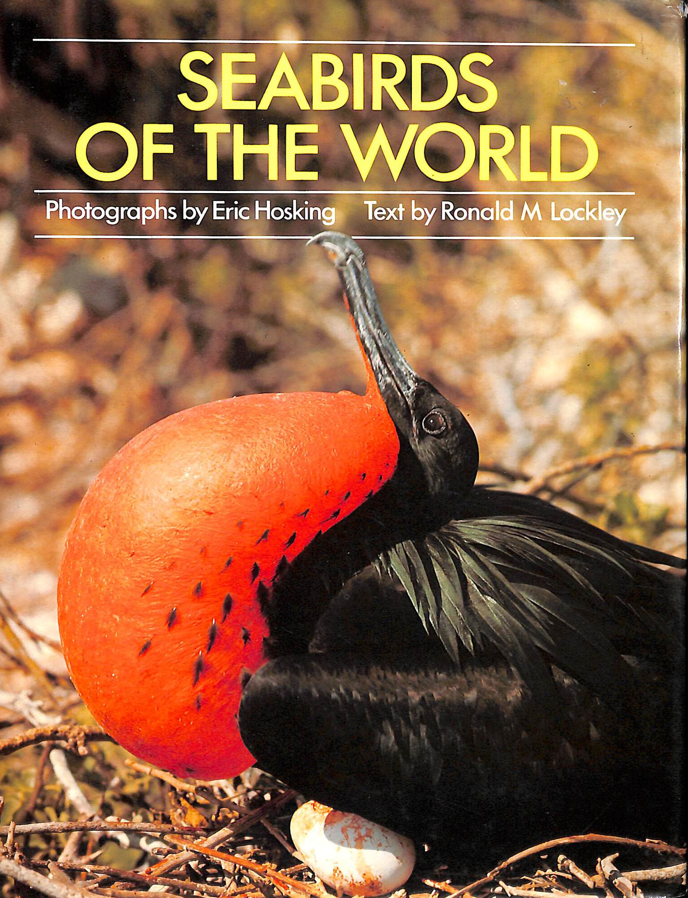 Seabirds of the World