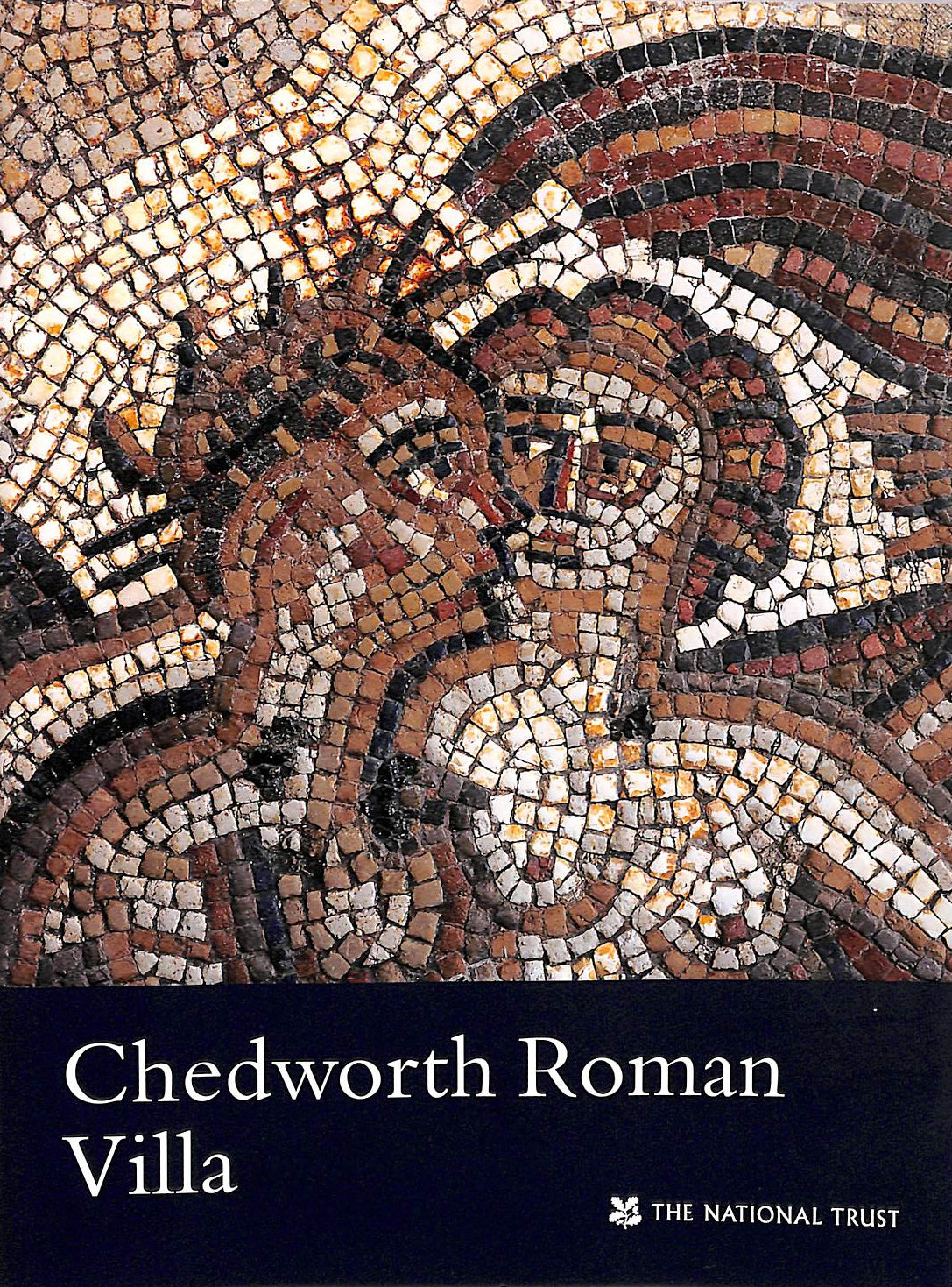 Chedworth Roman Villa (National Trust Guidebooks)