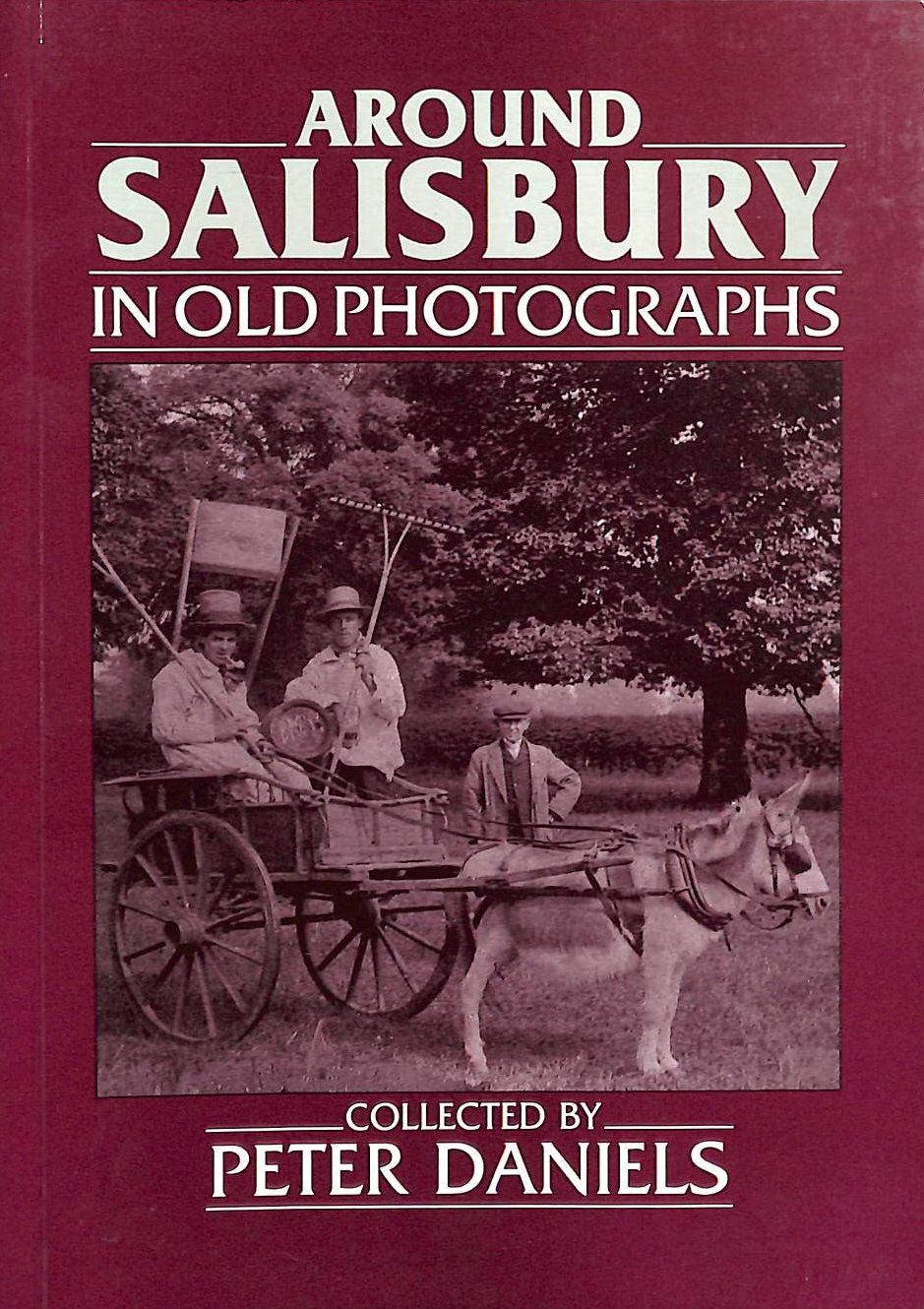 Around Salisbury in Old Photographs (Britain in Old Photographs)