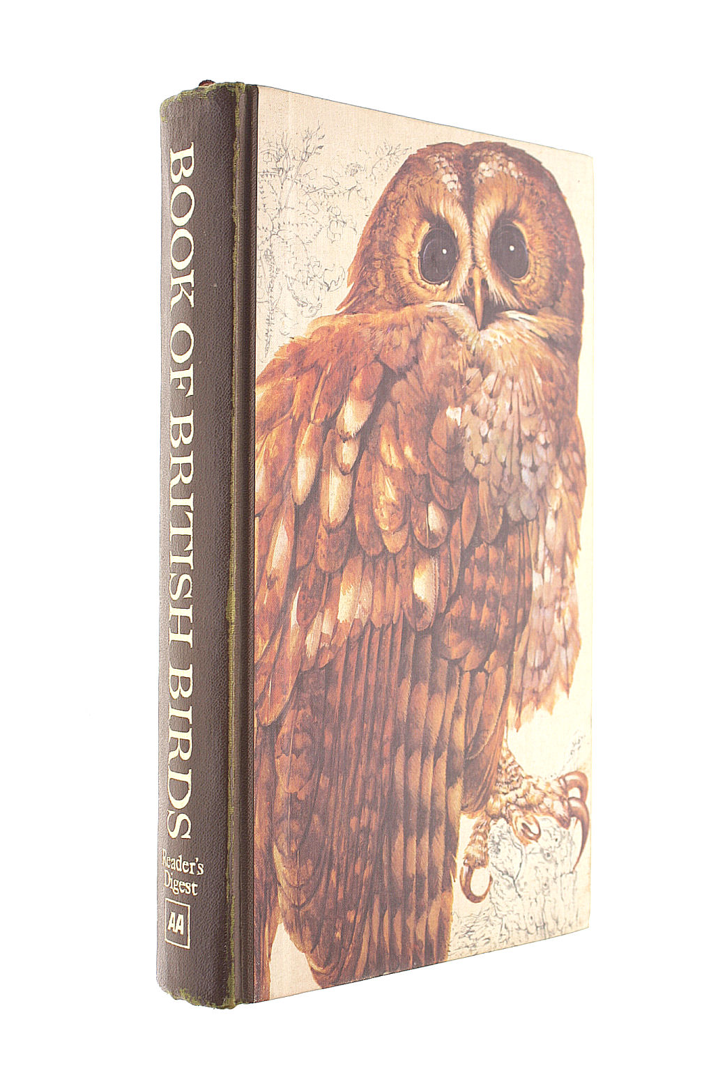 Book of British Birds