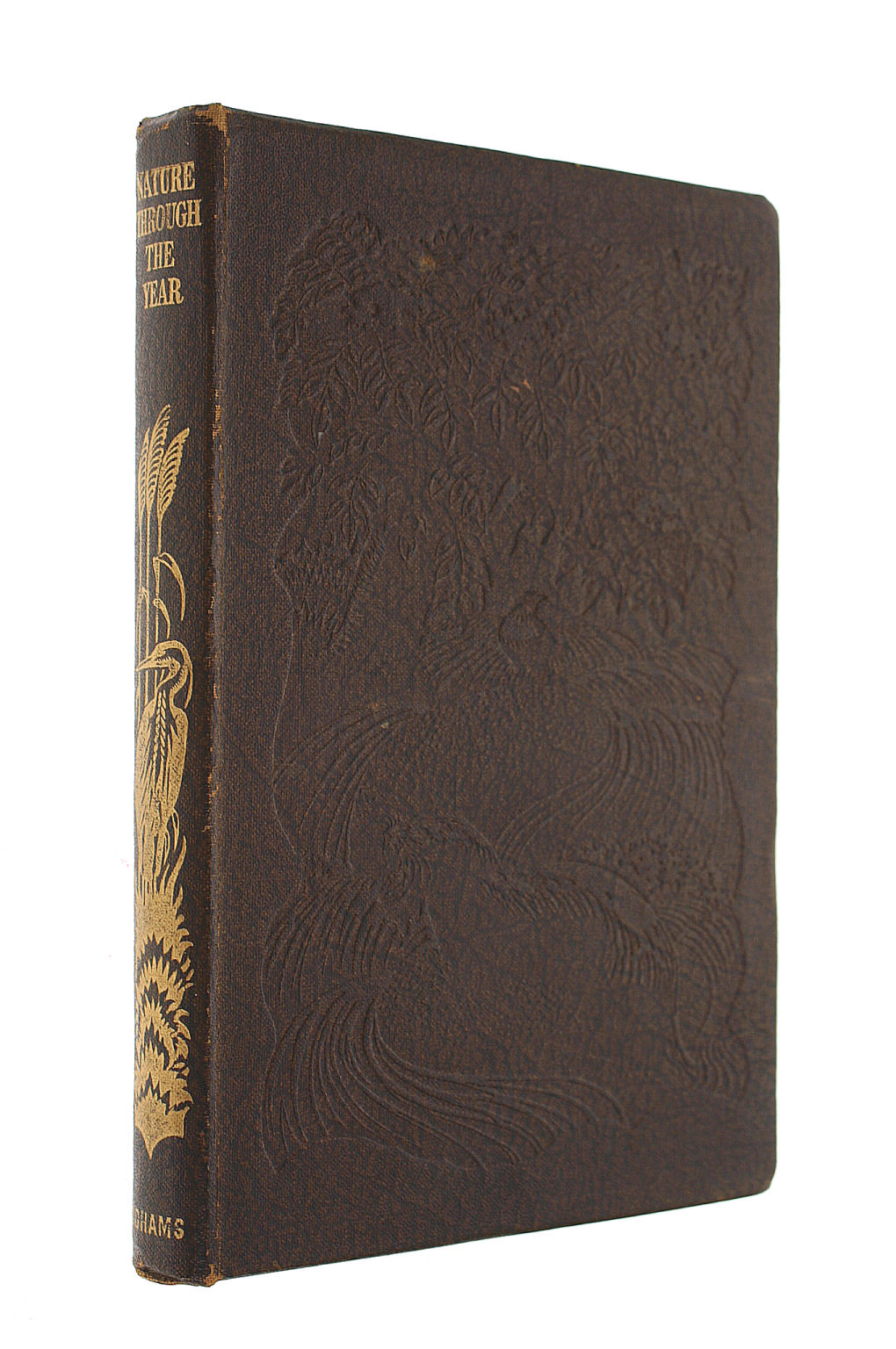 Nature Through The Year