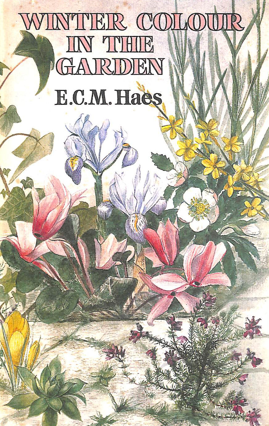 Winter Colour in the Garden