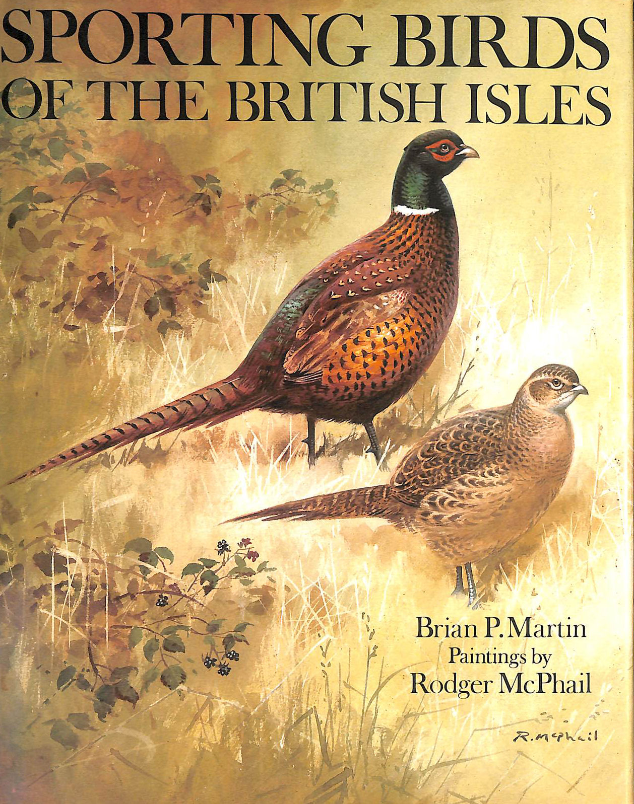 Sporting Birds of the British Isles