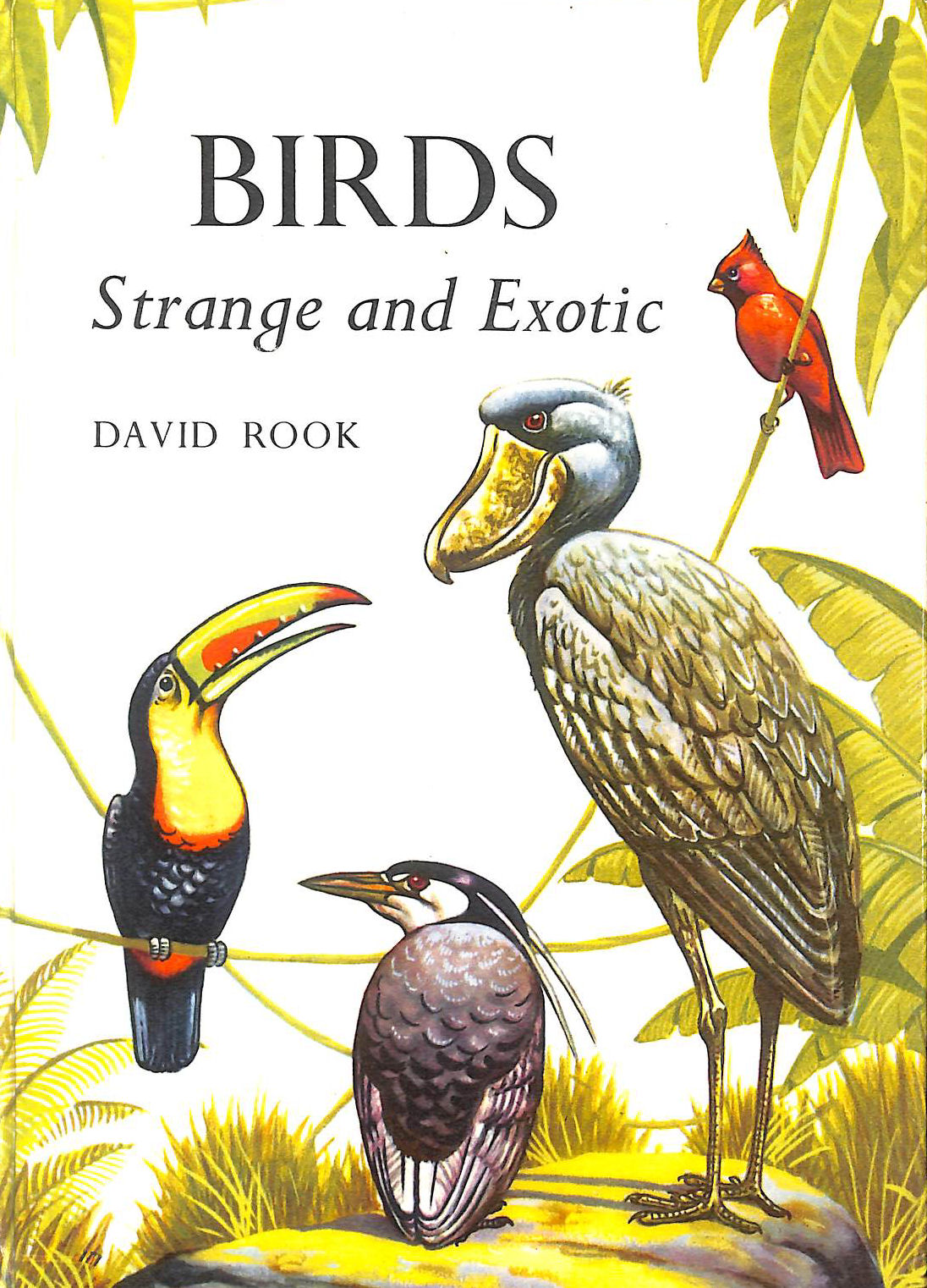 Birds, Strange And Exotic