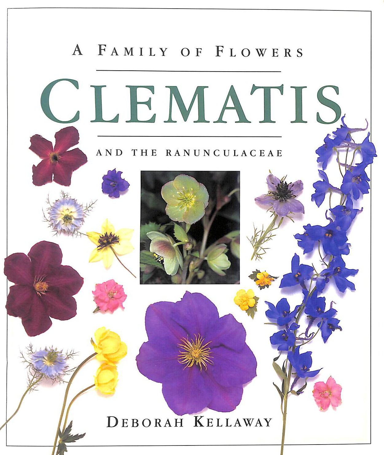 Clematis and the Ranunculaceae