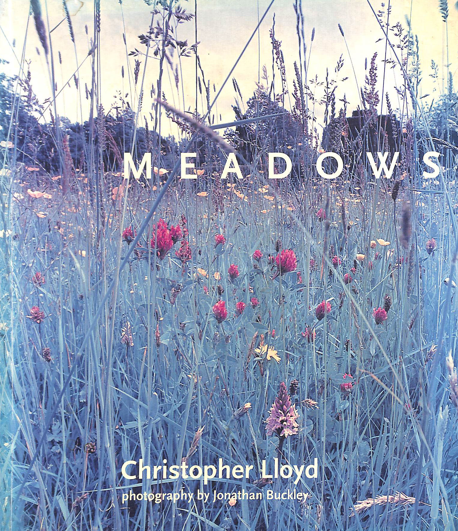 Meadows