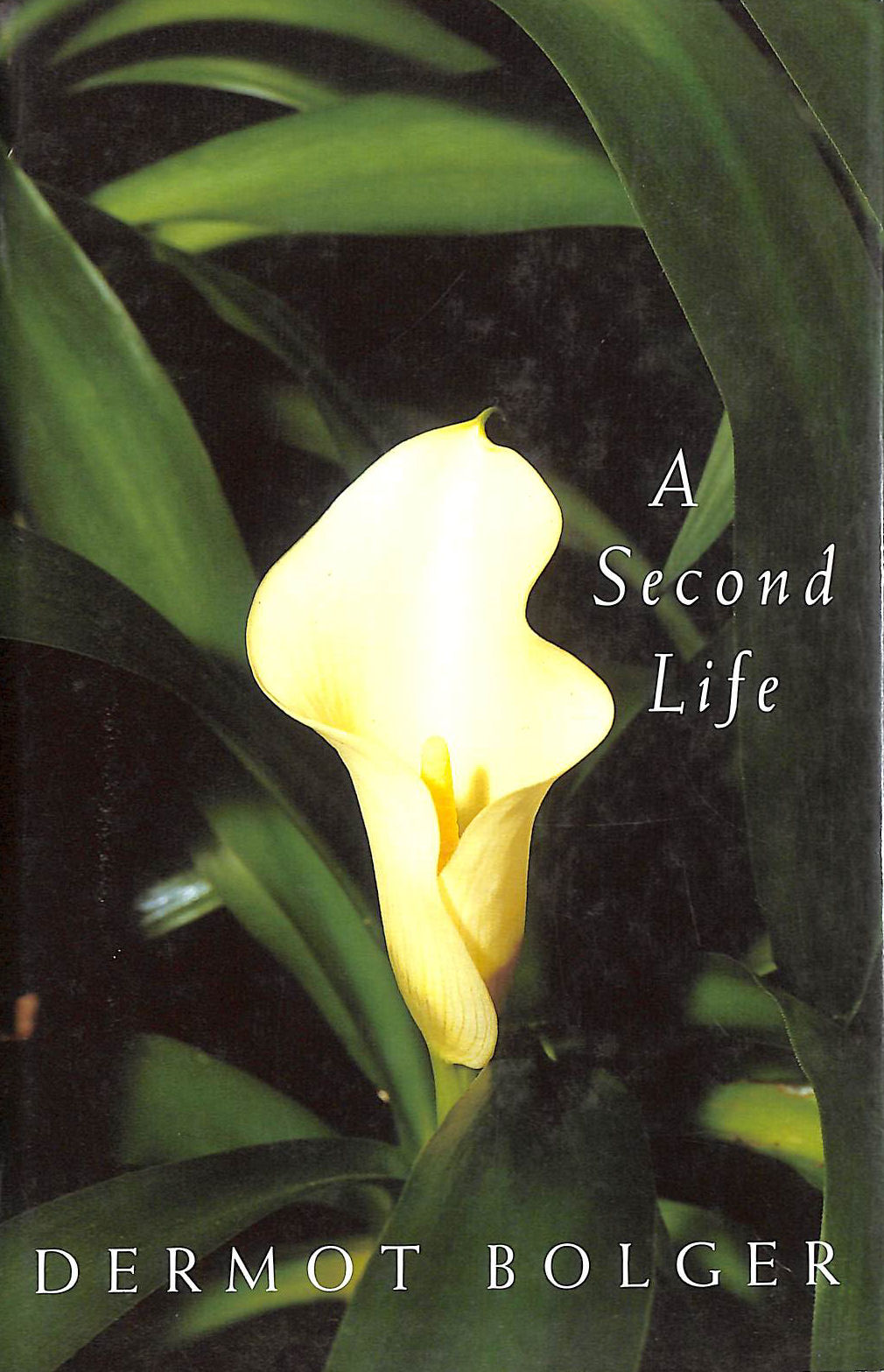 A Second Life