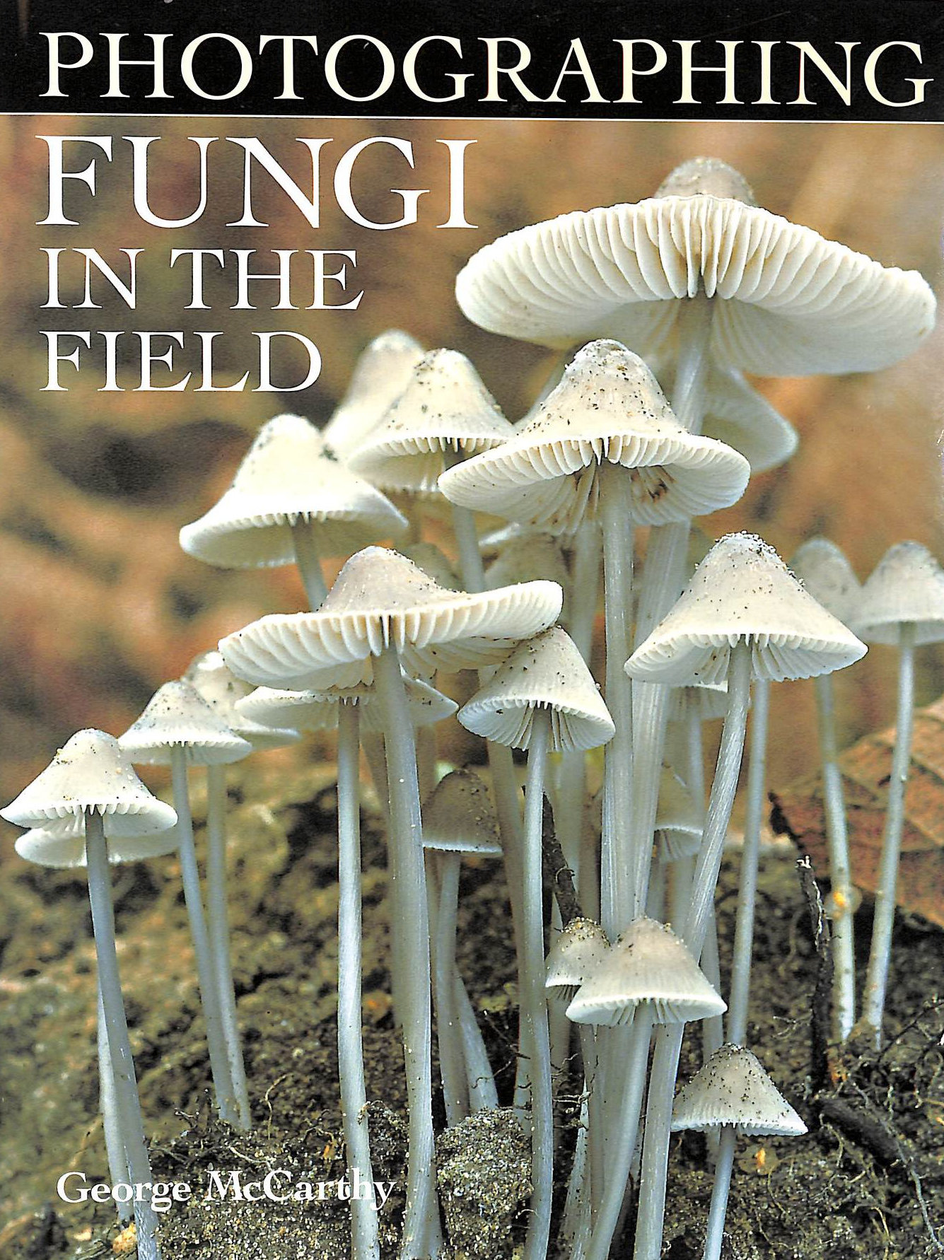 Photographing Fungi in the Field