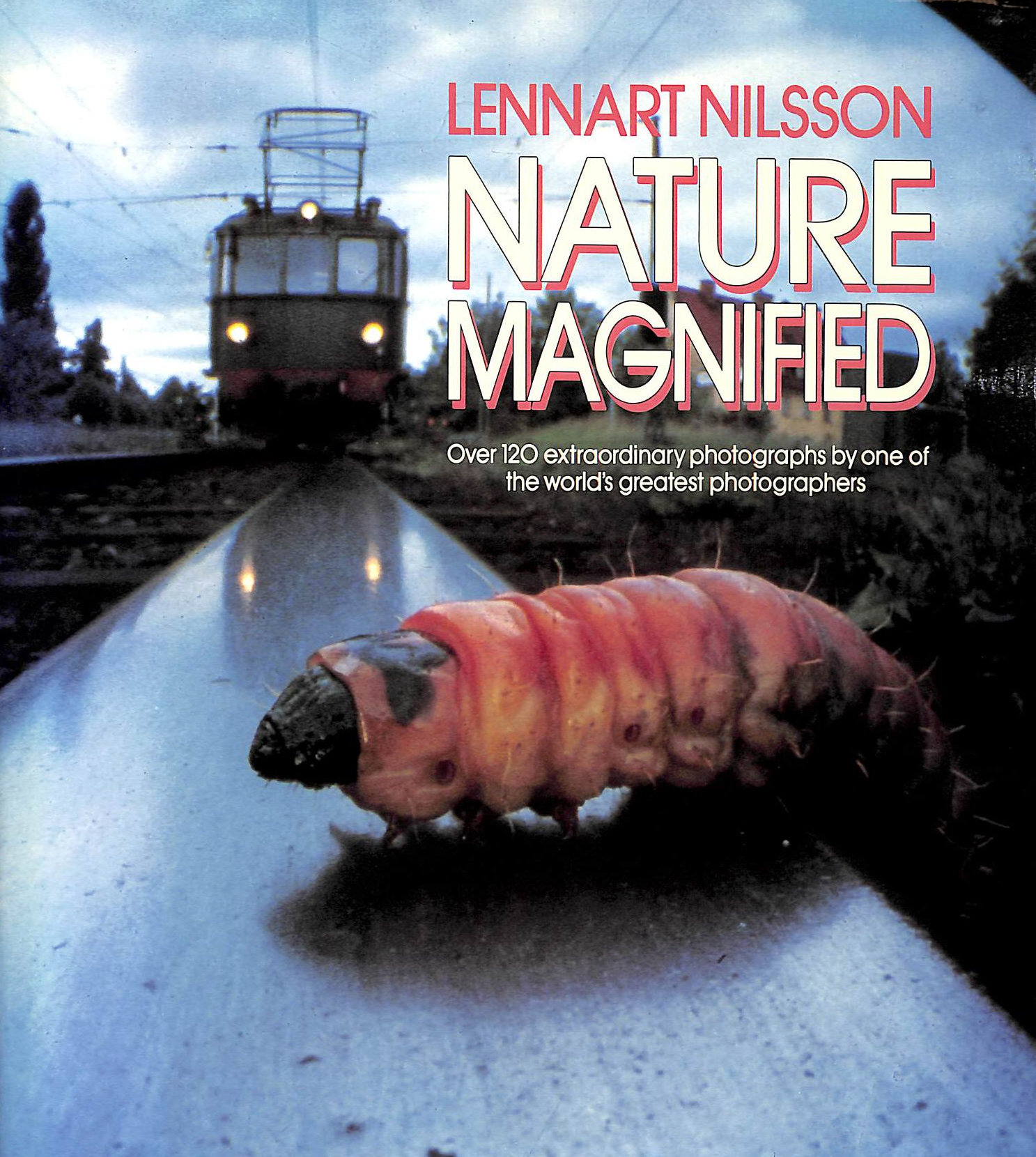 Nature Magnified