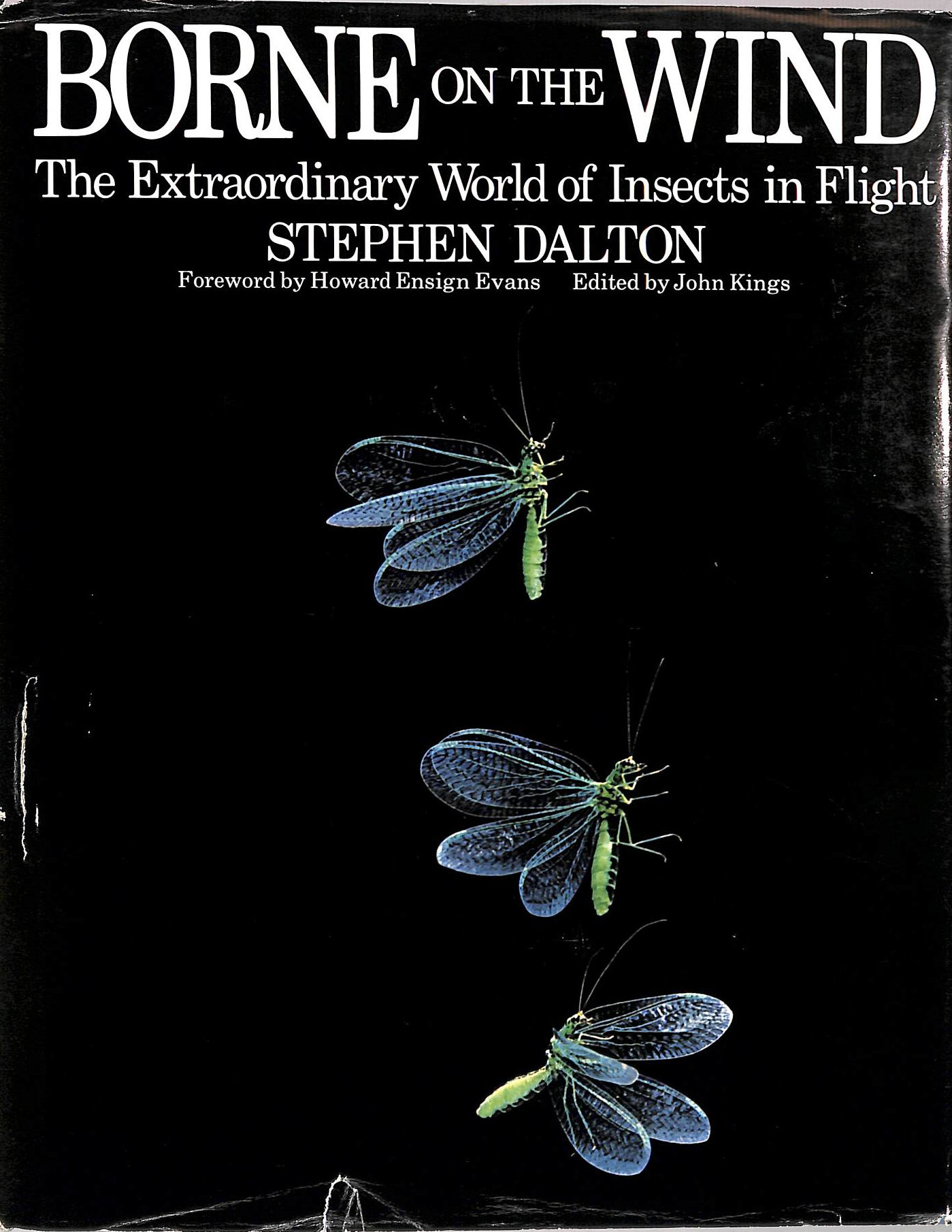 Borne on the Wind: Extraordinary World of Insects in Flight