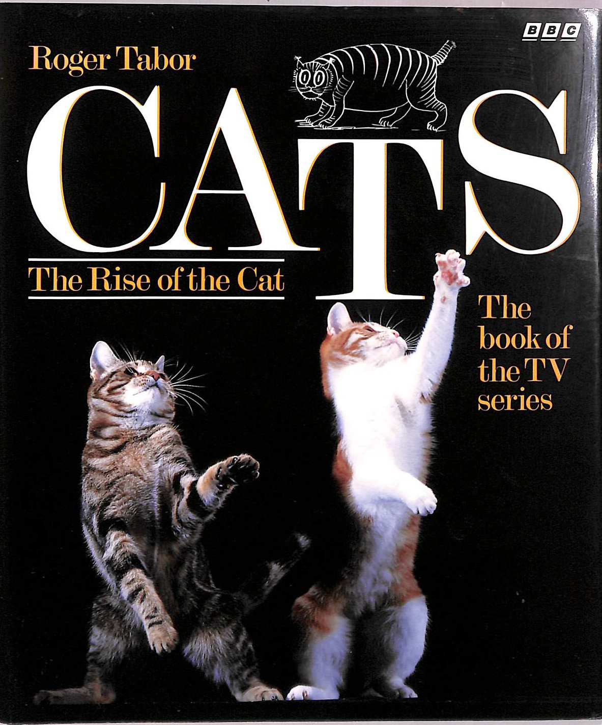 Cats: The Rise of the Cat: The Book of the TV Series