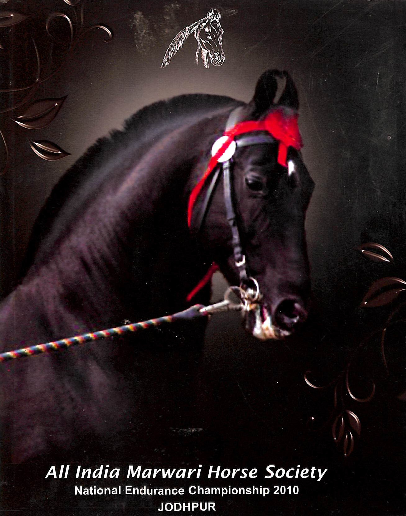 All India Marwari Horse Society National Endurance National Championship 2010