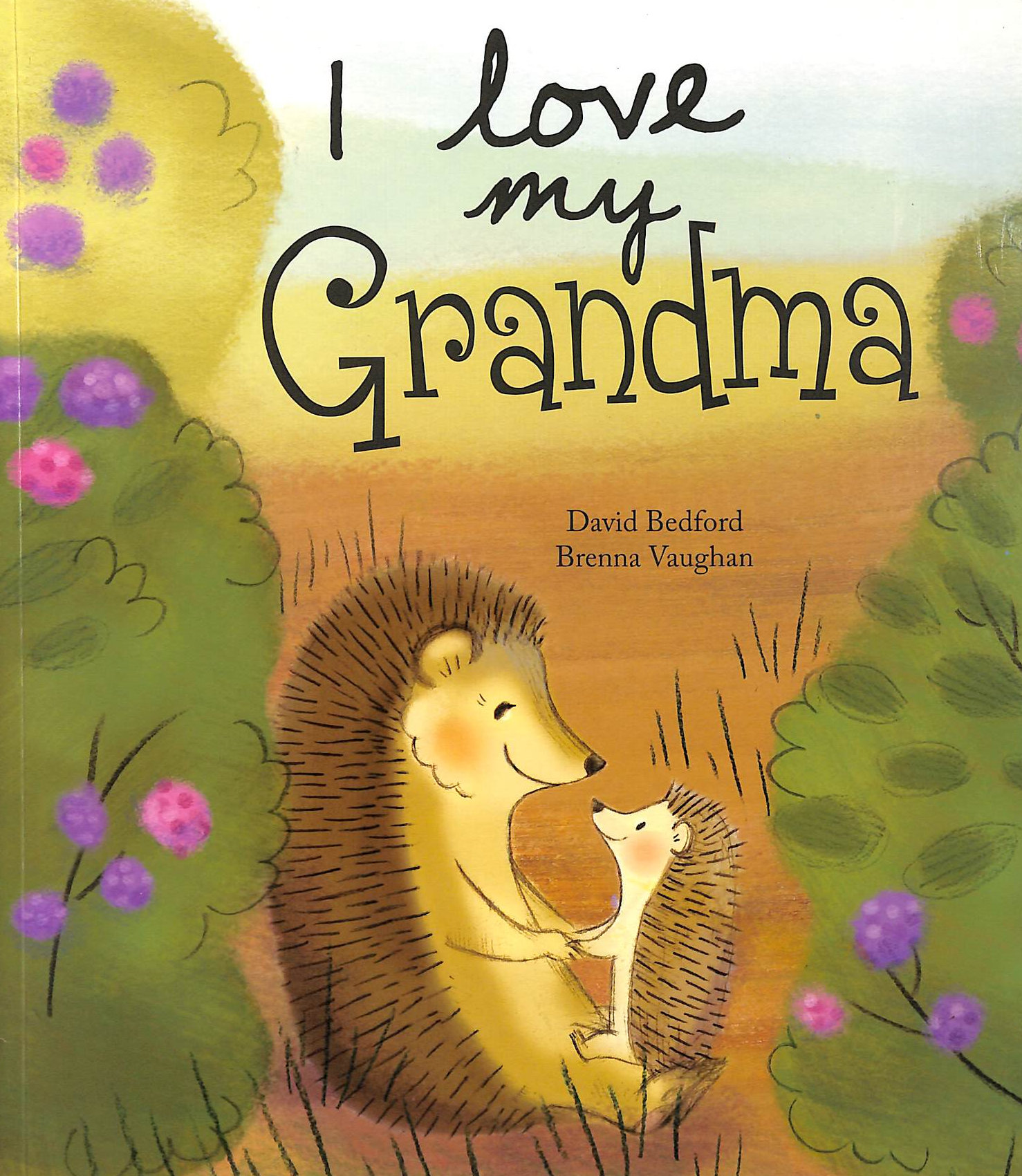 I Love My Grandma - Picture Story Book