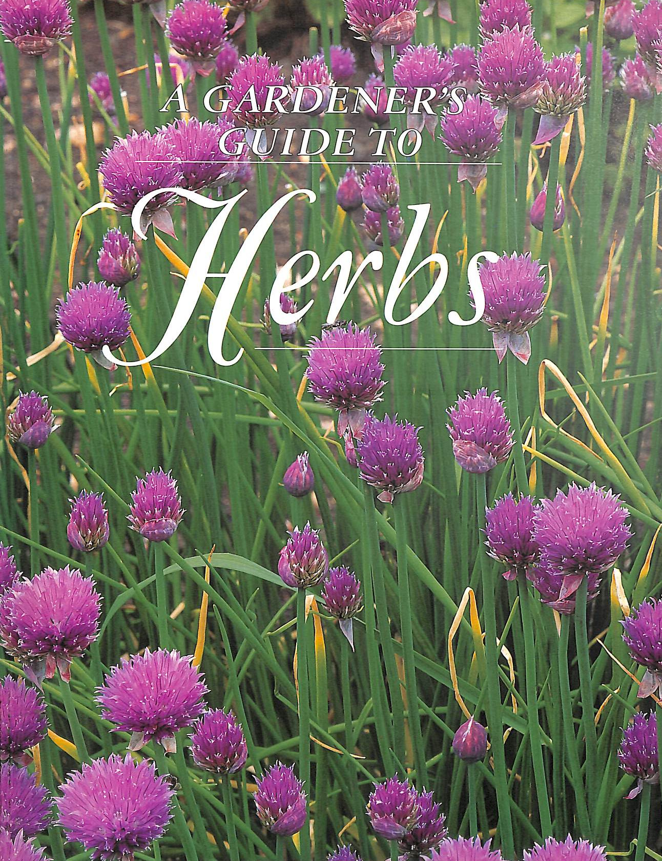 Herbs (Gardener's Guide)