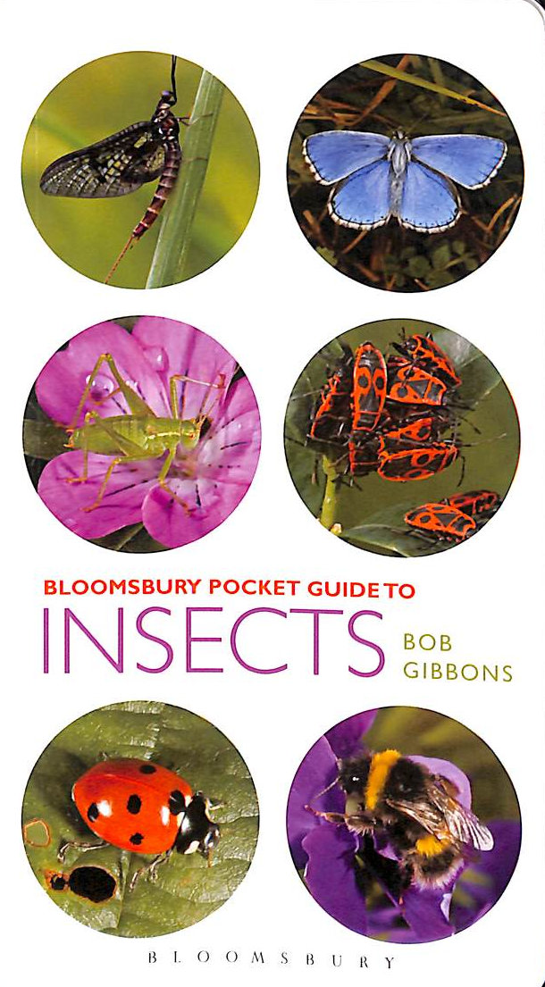 Pocket Guide to Insects (Pocket Guides)