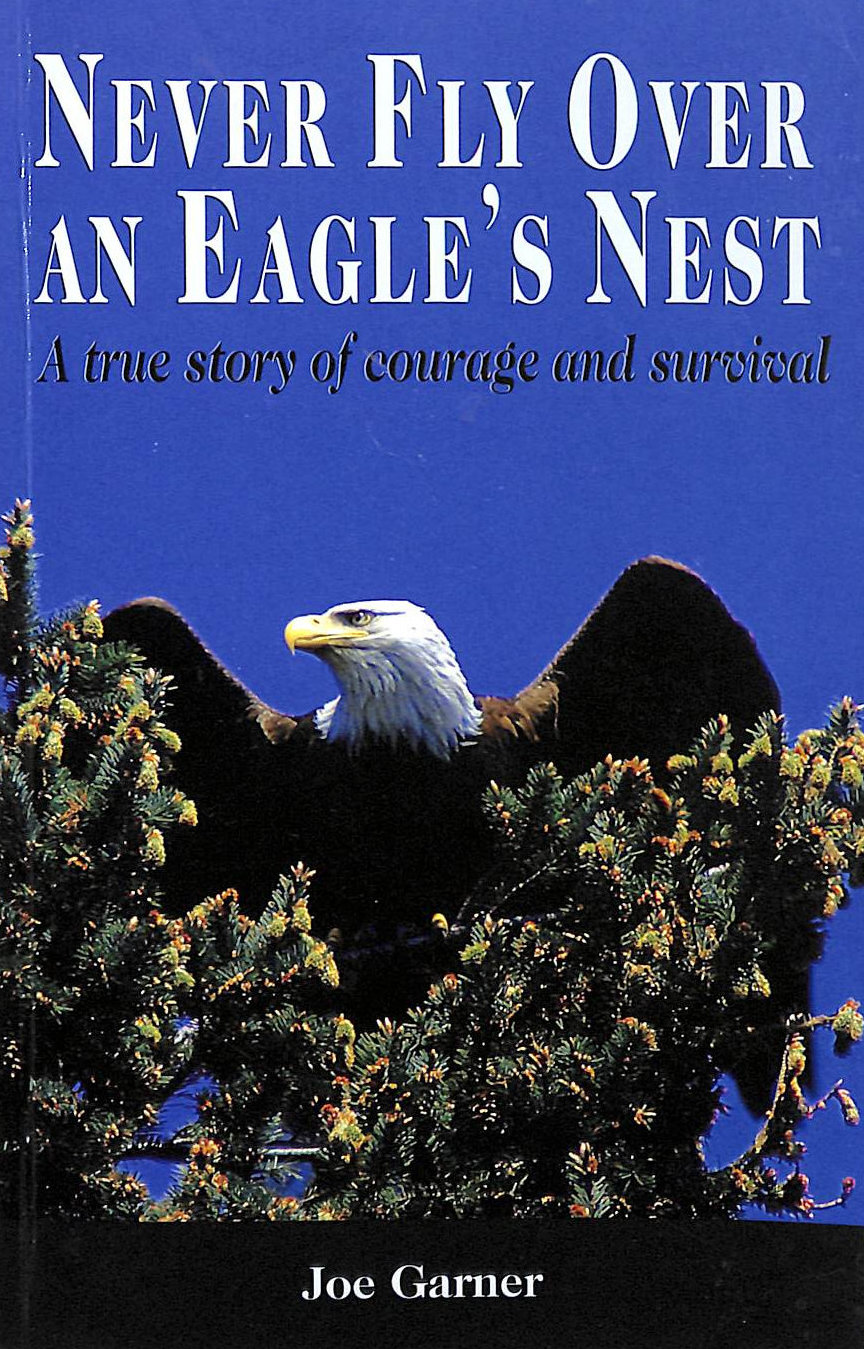 Never Fly Over an Eagle's Nest: A true story of courage and survival