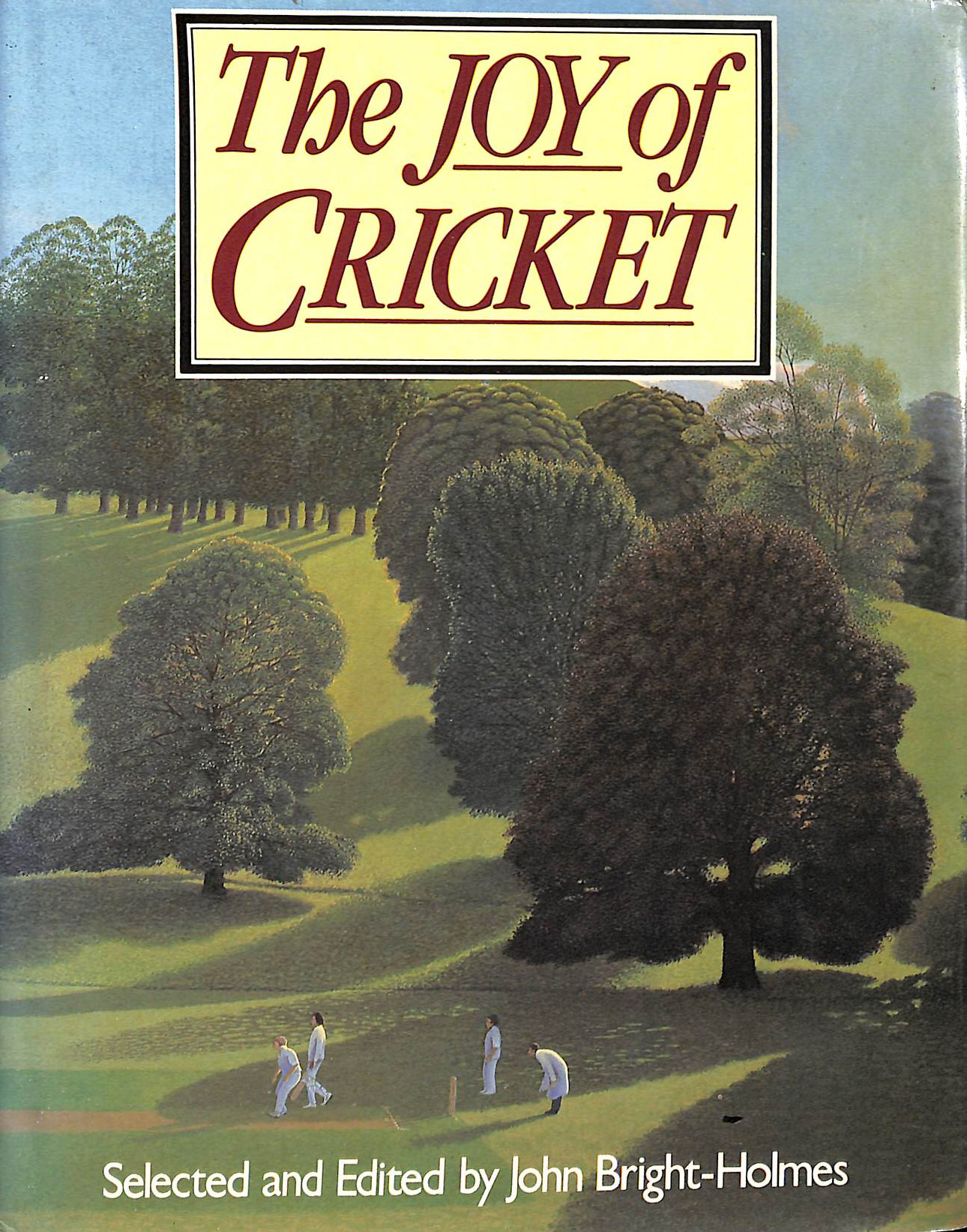 Joy of Cricket