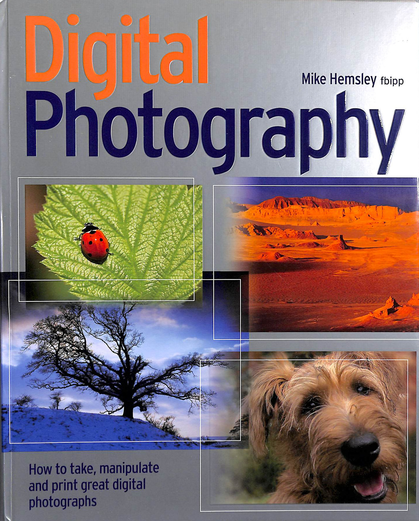 Digital Photography