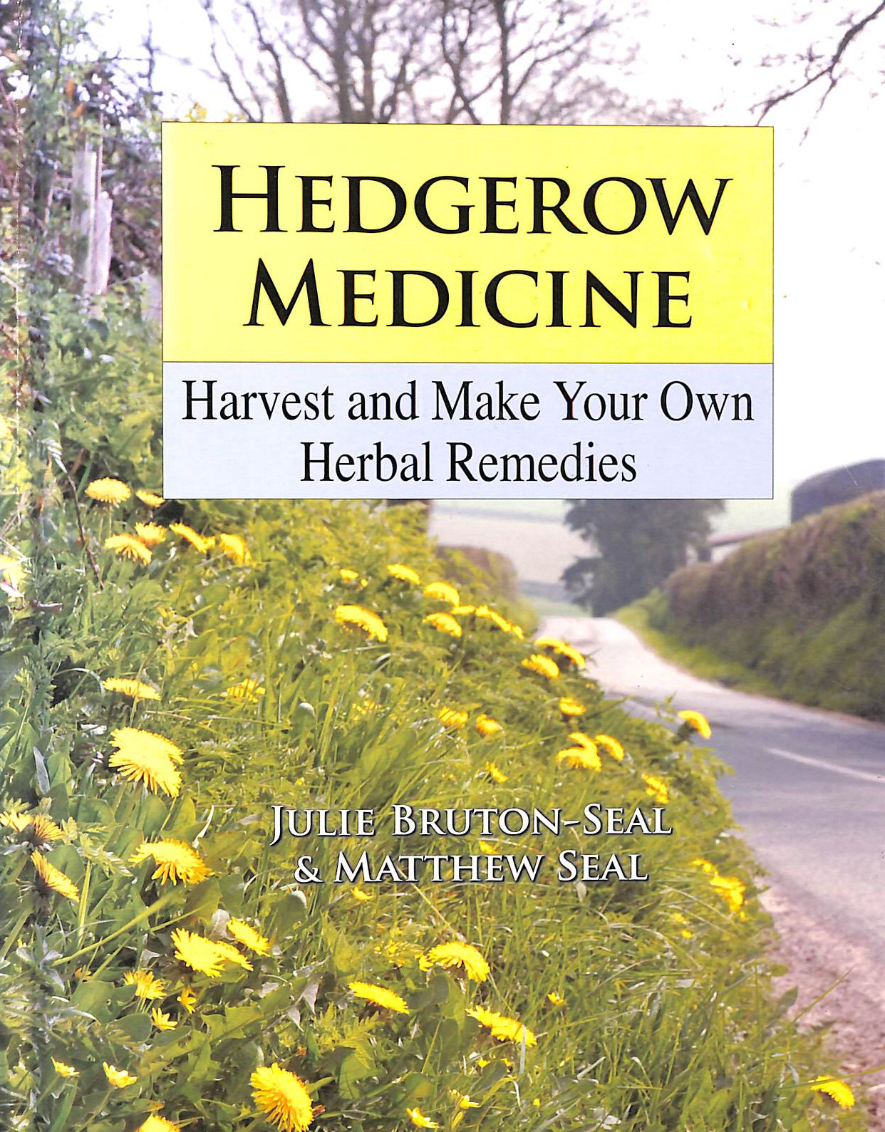 Hedgerow Medicine: Harvest and Make your own Herbal Remedies