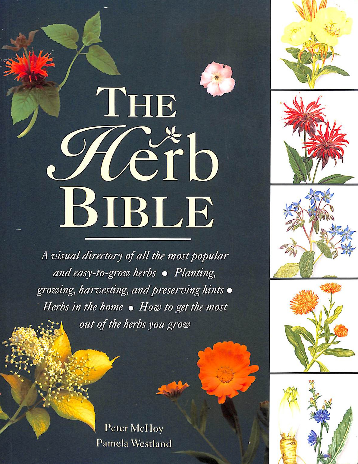 The Herb Bible