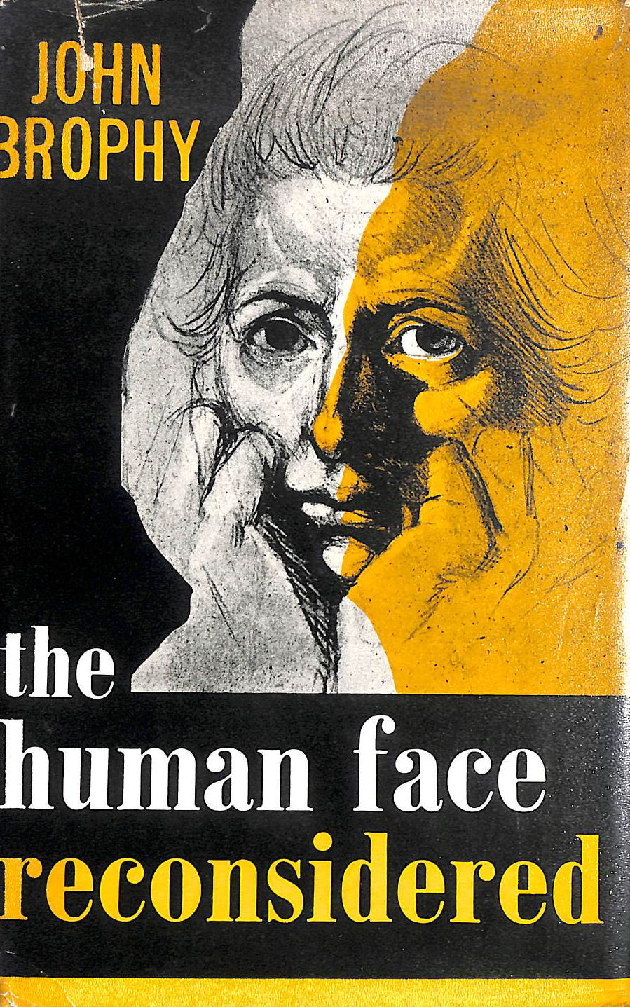 The Human Face Reconsidered