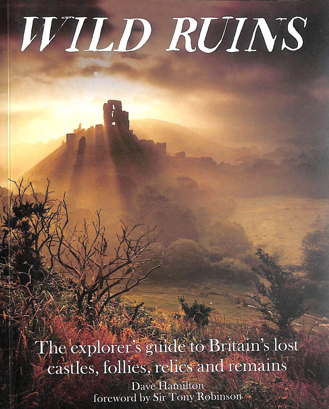 Wild Ruins: The Explorer's Guide to Britain Lost Castles, Follies, Relics and Remains