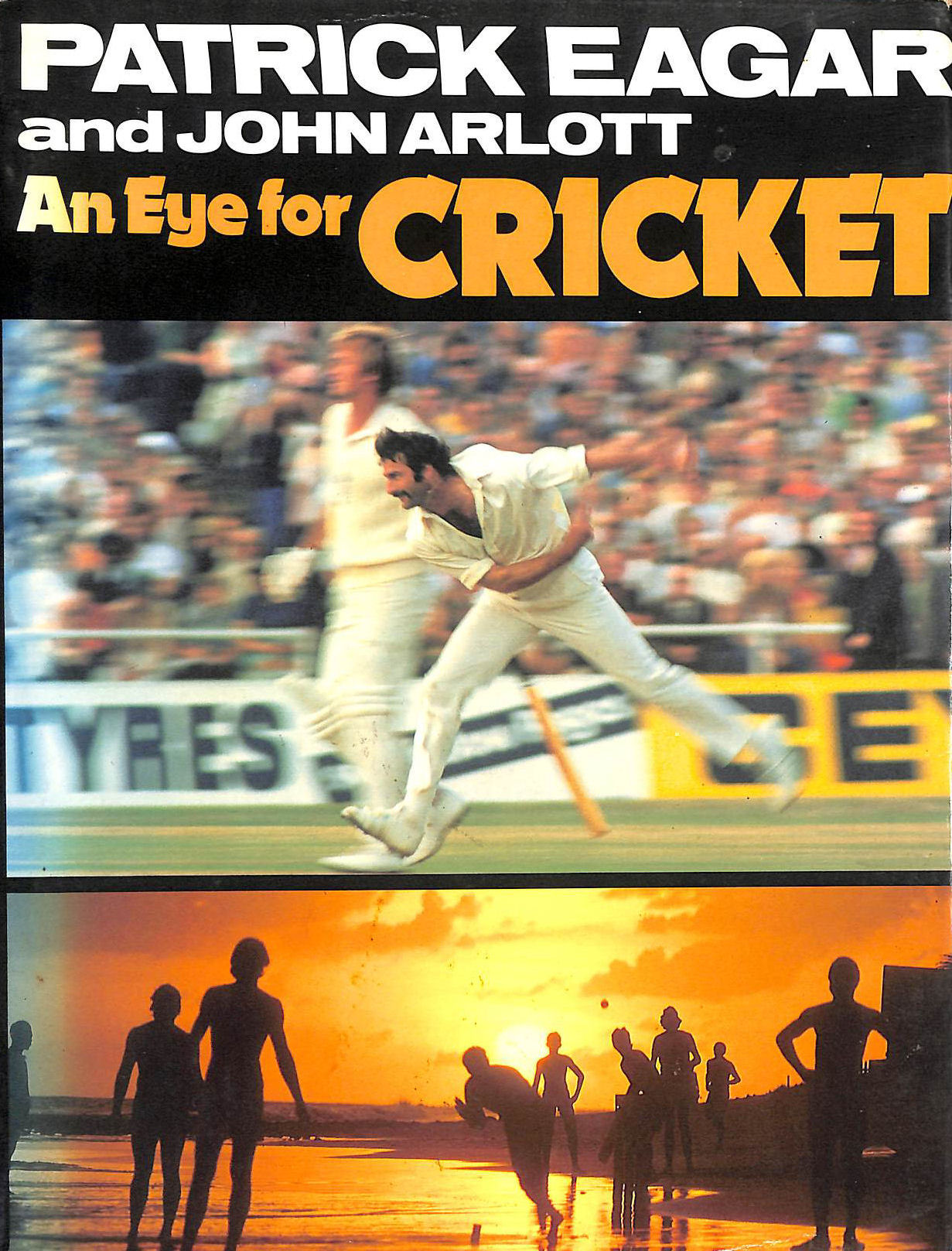 An Eye for Cricket