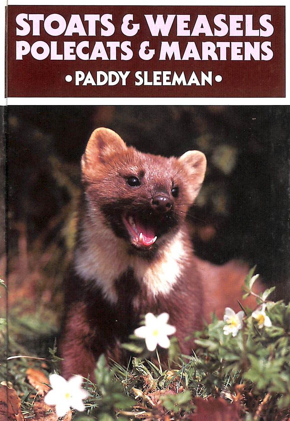 Stoats and Weasels, Polecats and Martens