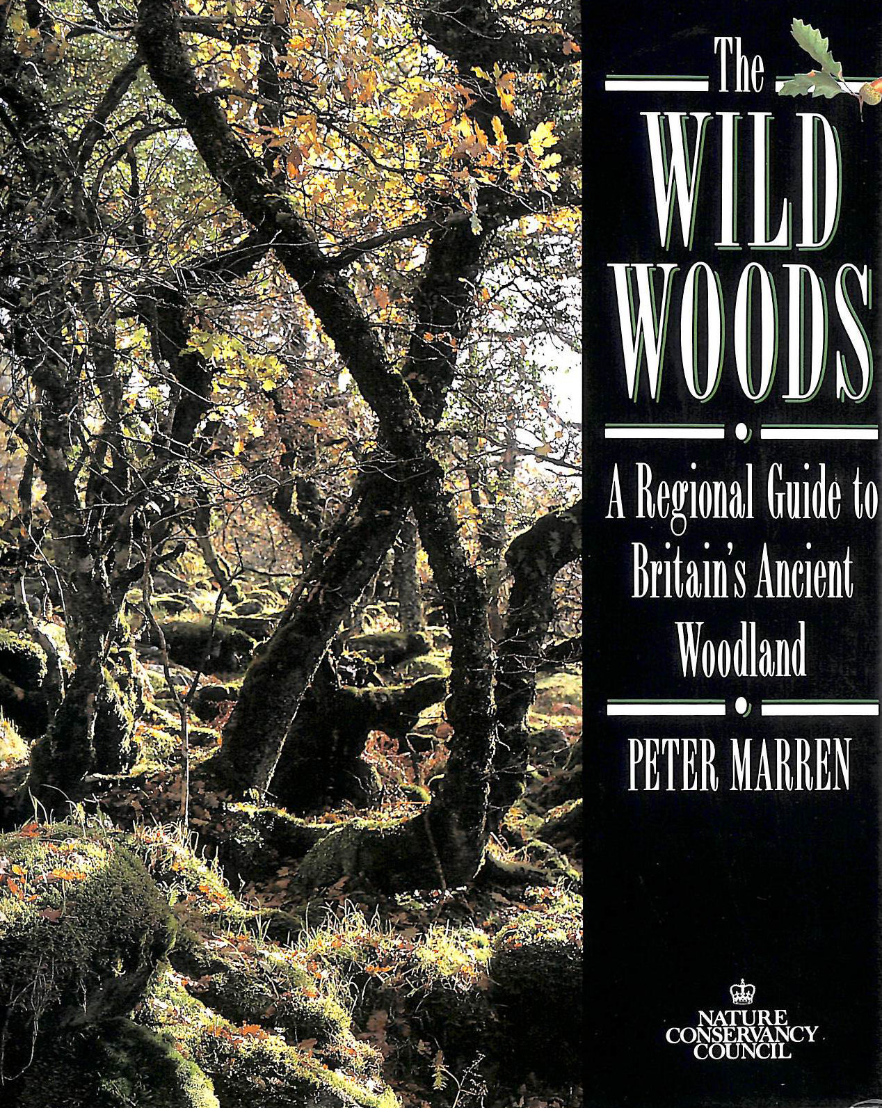The Wild Woods