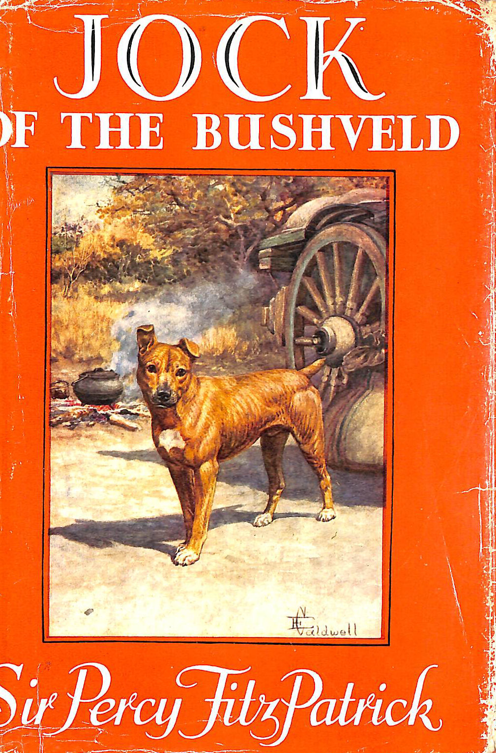 Jock Of The Bushveld